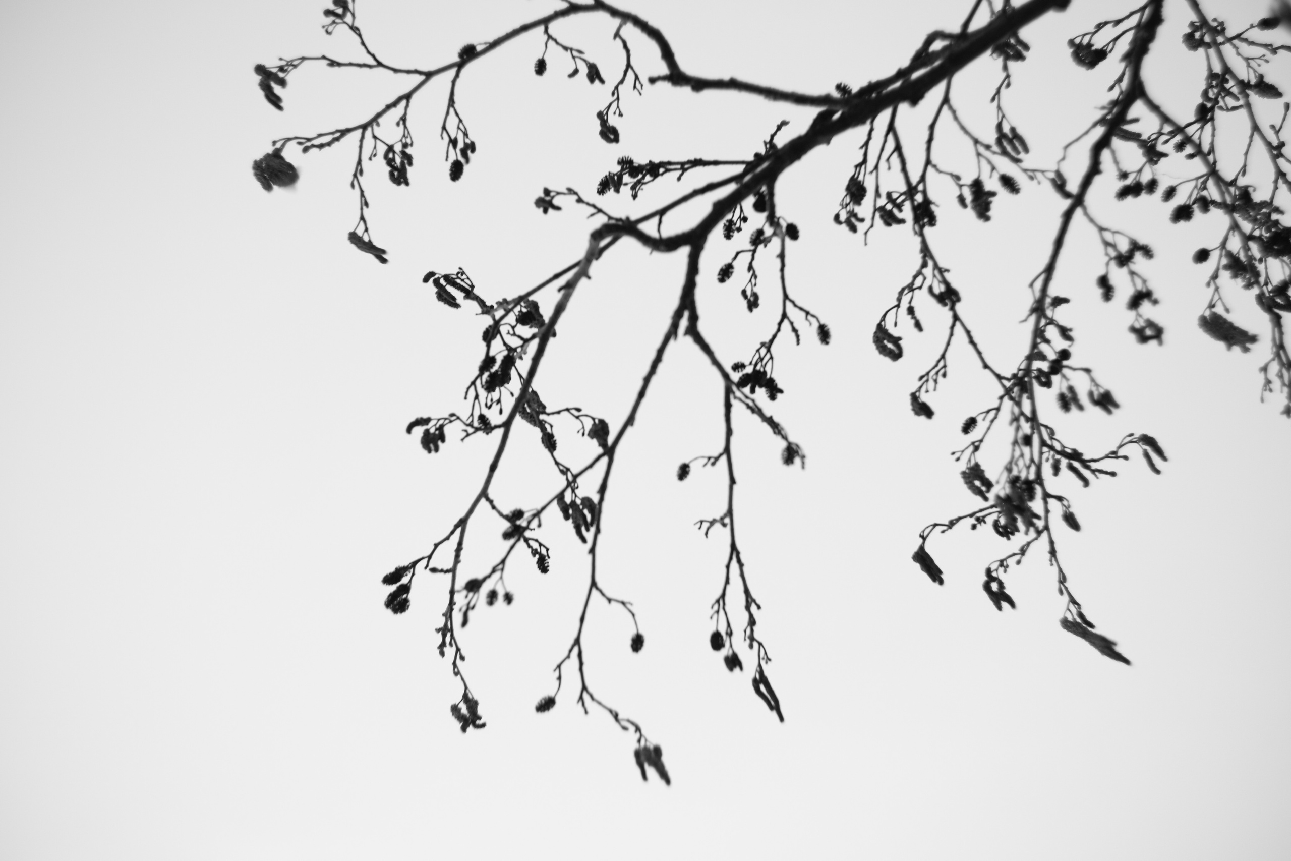 TINA & OLEG. Портретный фотограф в Санкт-Петербурге Ольга Муранова