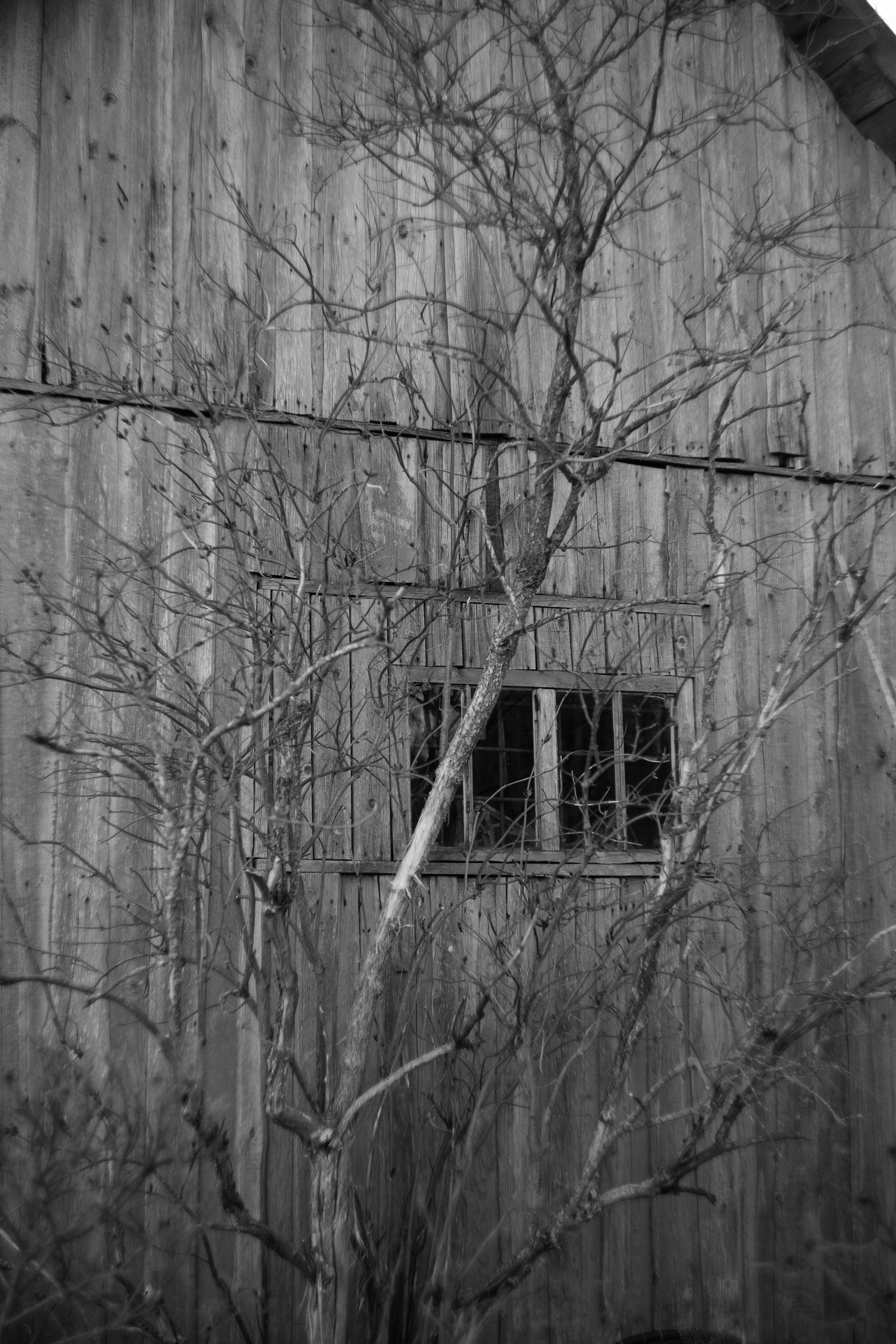 TINA & OLEG. Портретный фотограф в Санкт-Петербурге Ольга Муранова