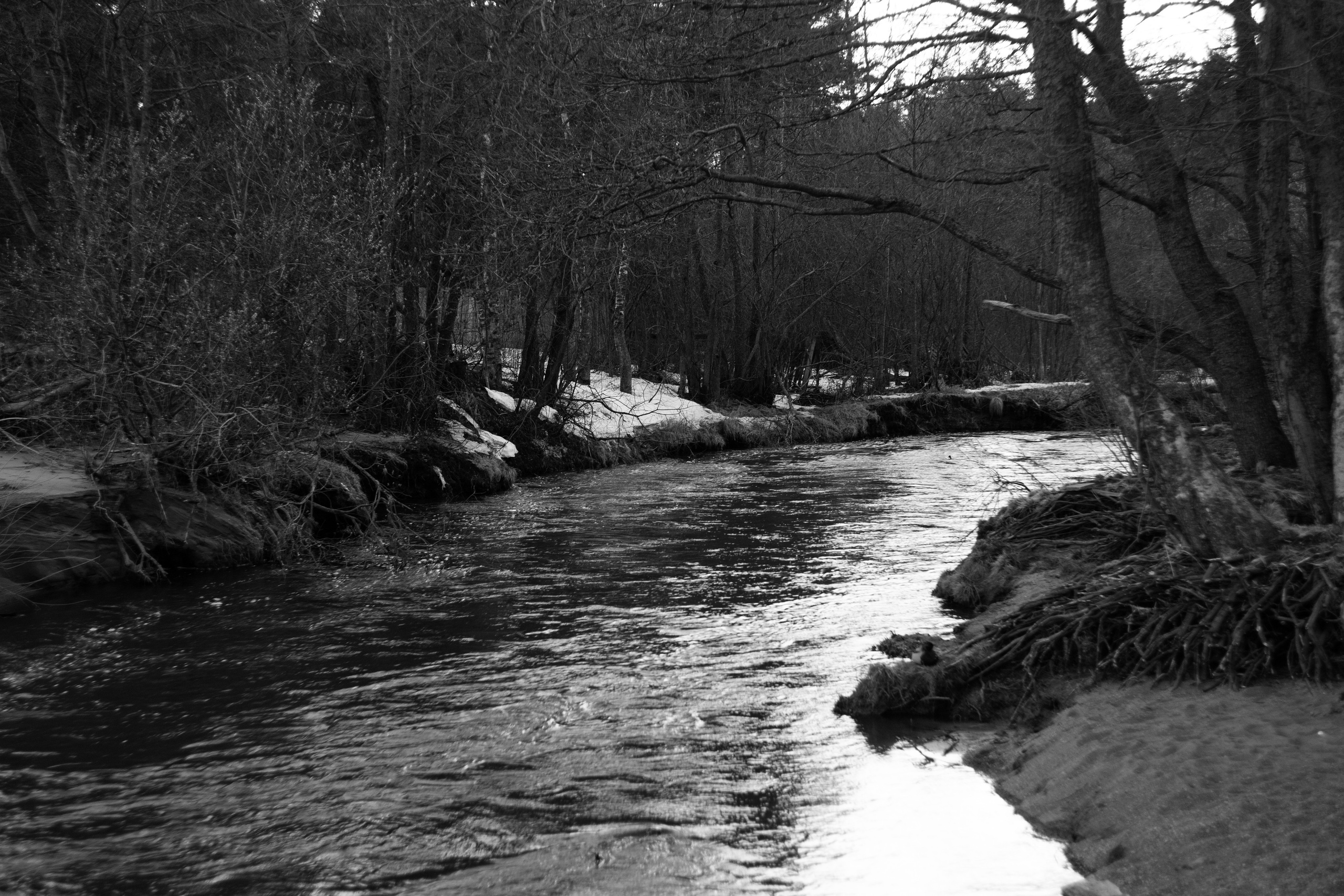 TINA & OLEG. Портретный фотограф в Санкт-Петербурге Ольга Муранова