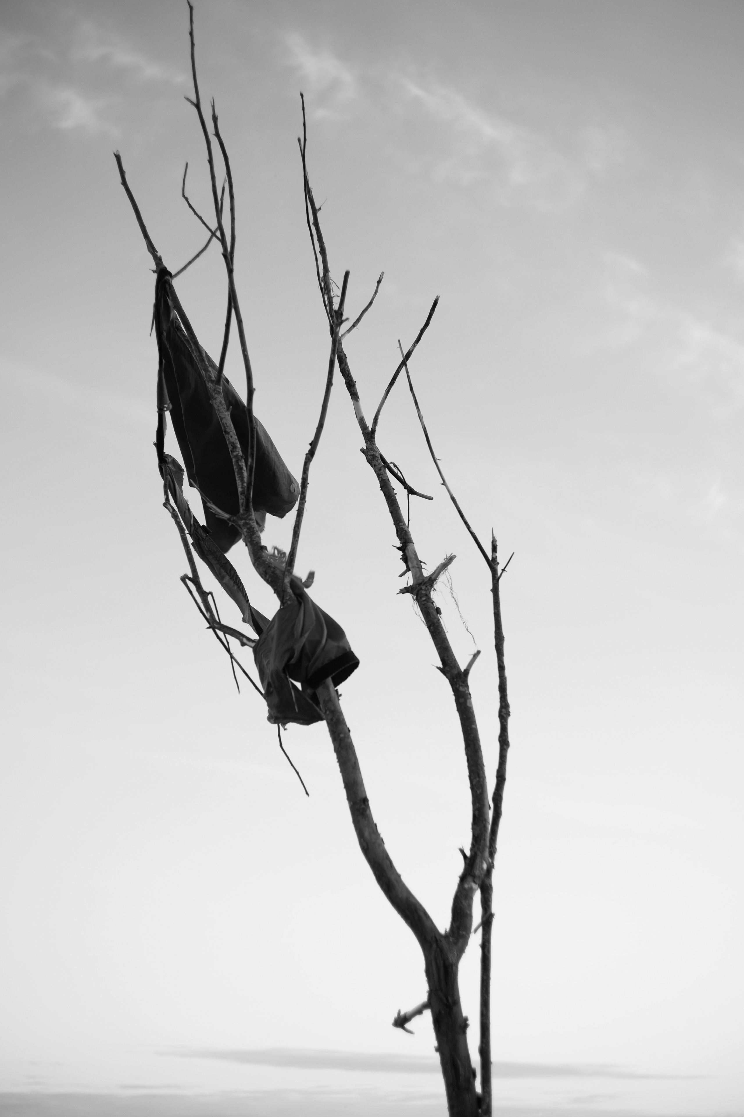 TINA & OLEG. Портретный фотограф в Санкт-Петербурге Ольга Муранова