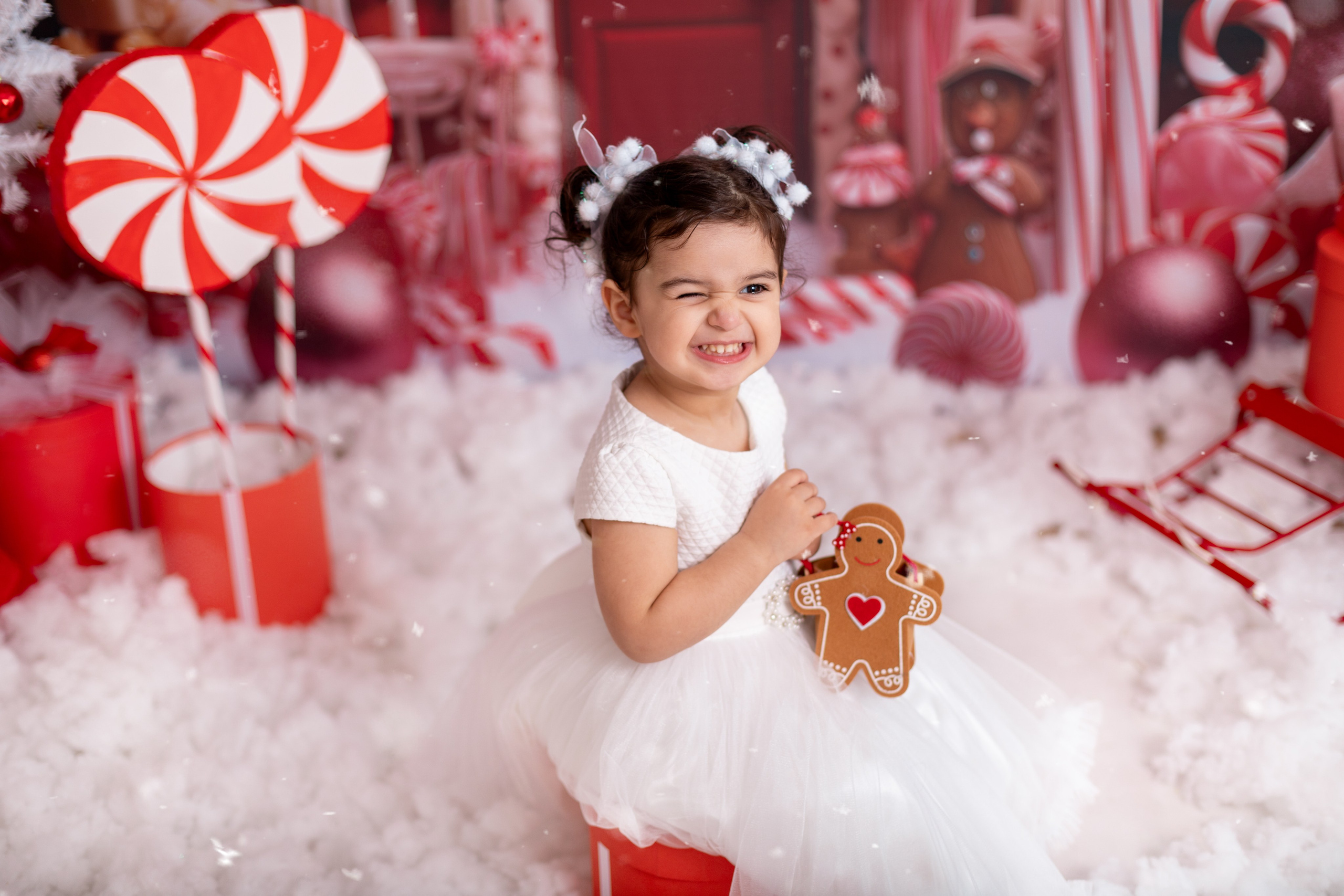 Новый год. Фотограф новорождённых Псков