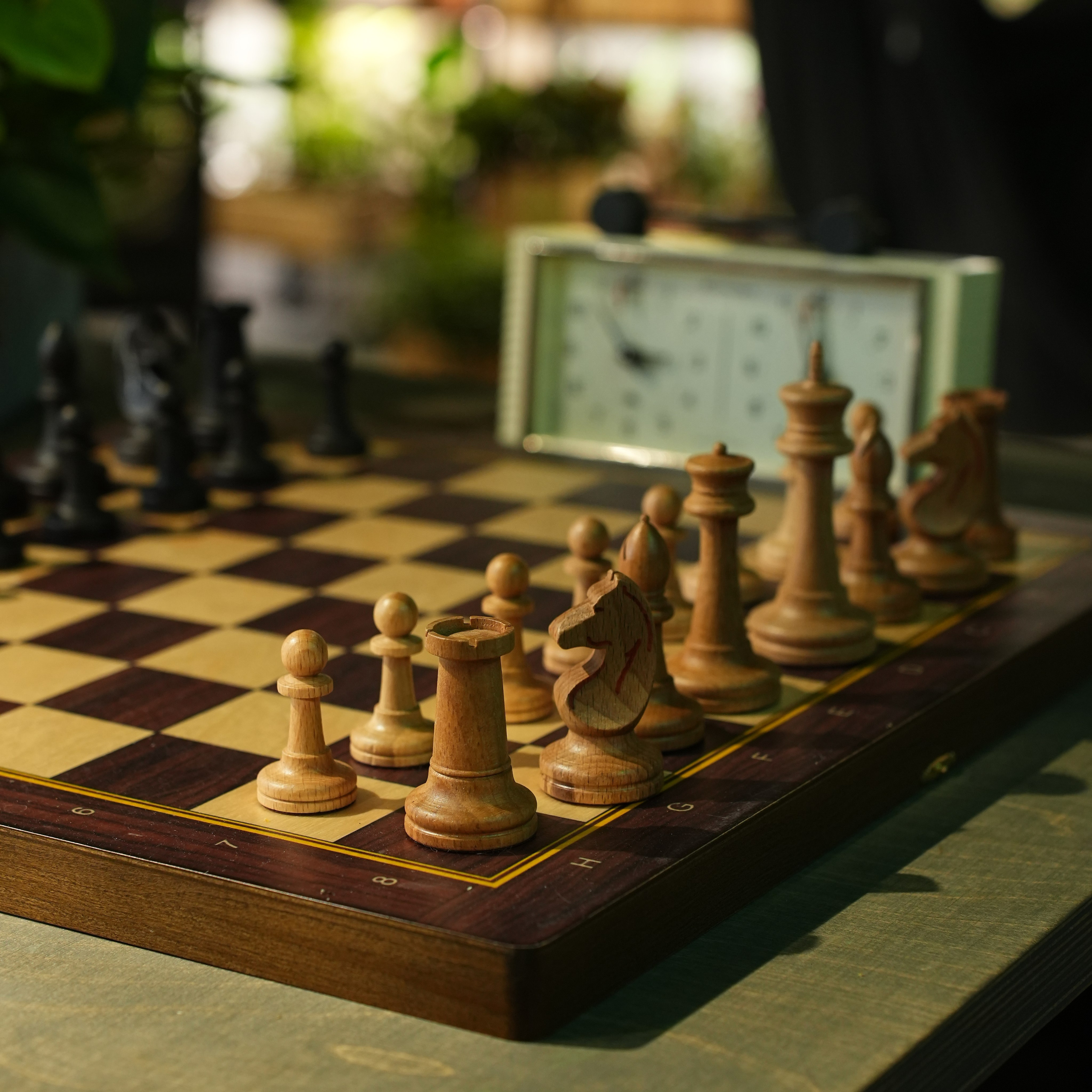 Интерьерная фотосъемка флористического магазина