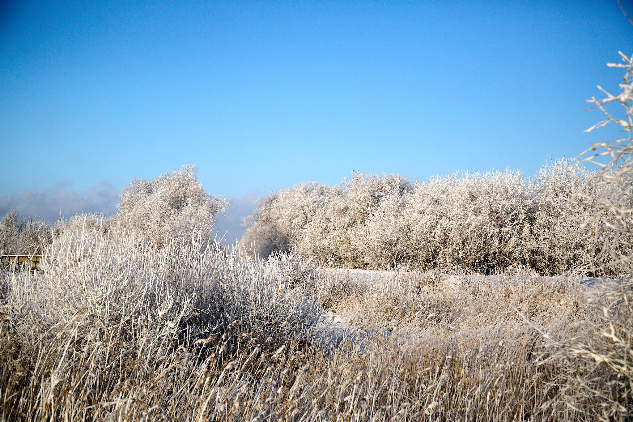 Предновогодняя сказка. Фотограф Омск | Александр Вандеров