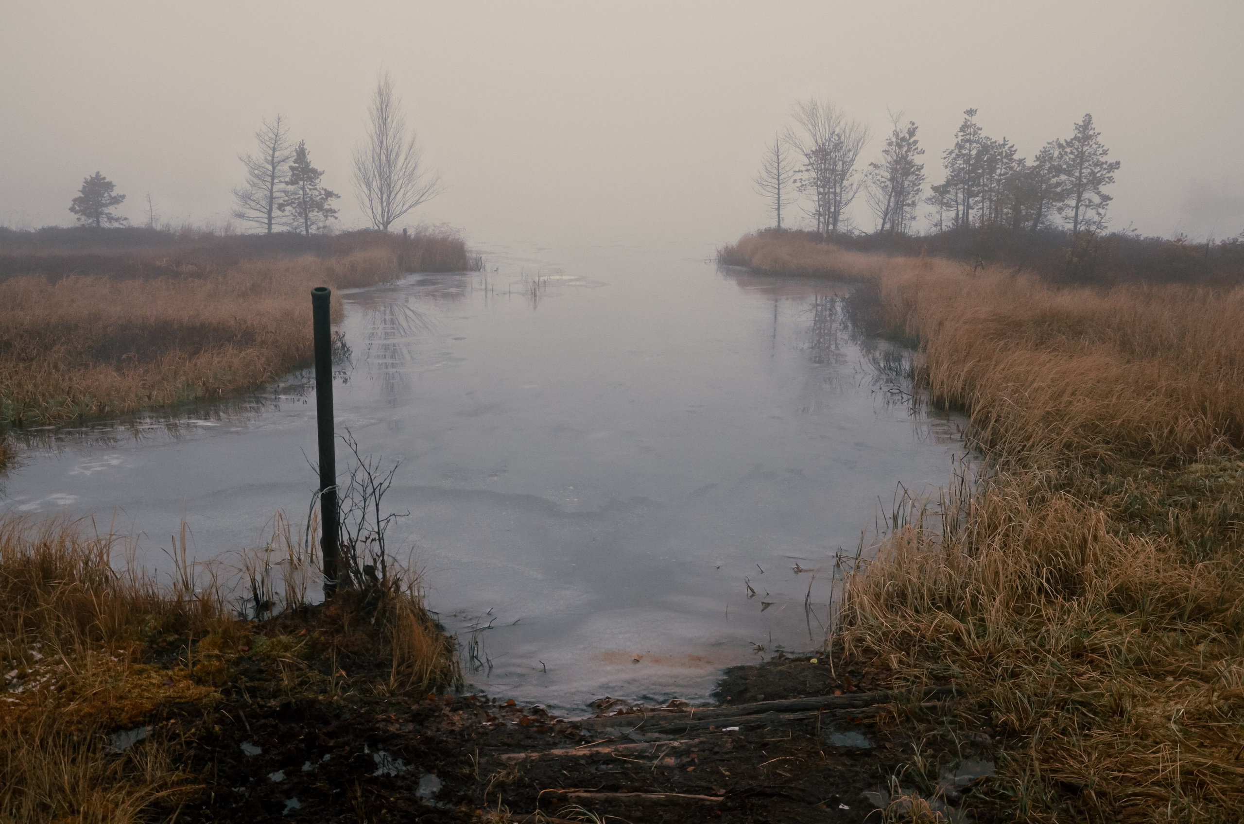 Тайга. Фотография — это миг, который фиксирует вечность