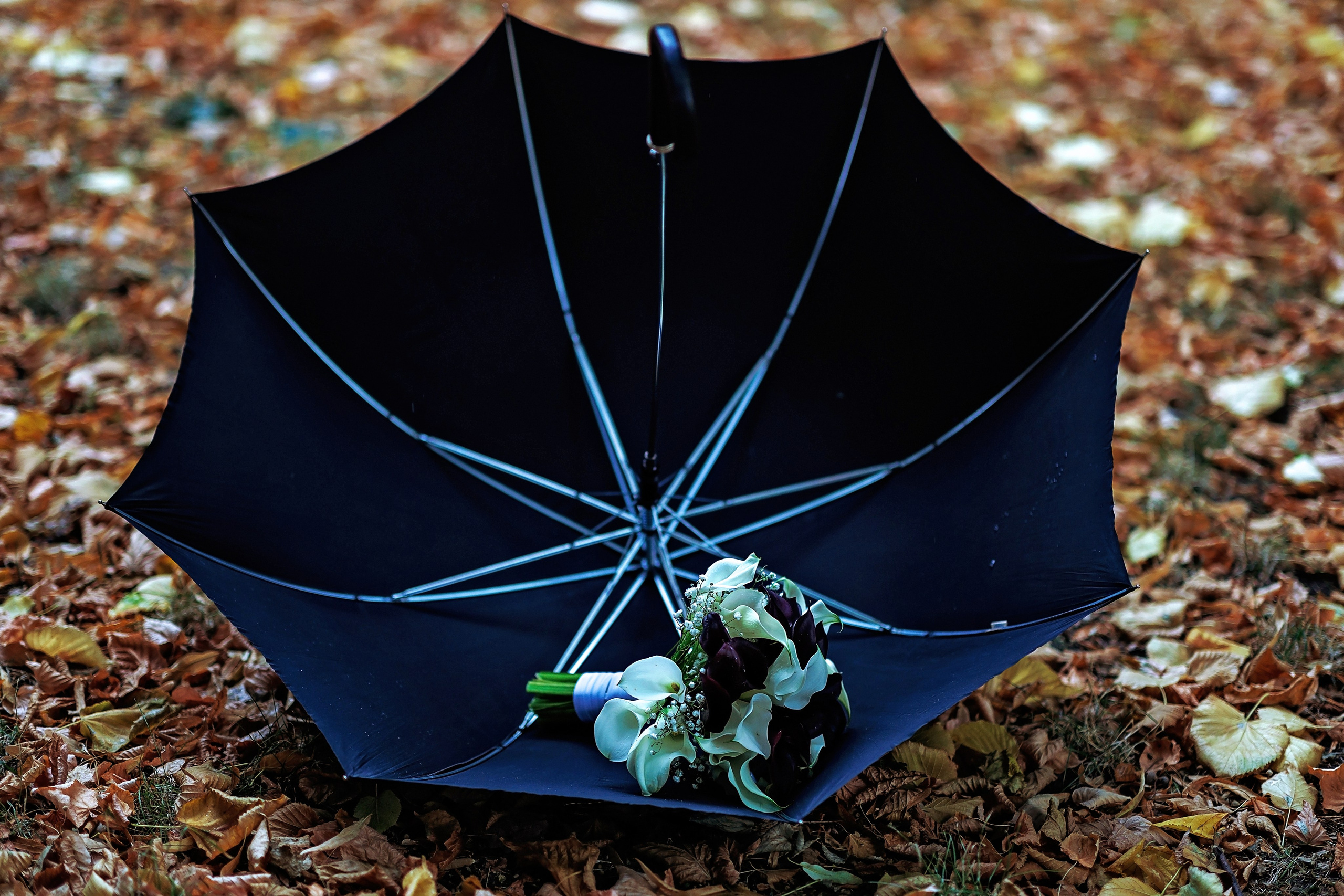 Дима и Ксюша. Геннадий Степанов —фотограф в Москве