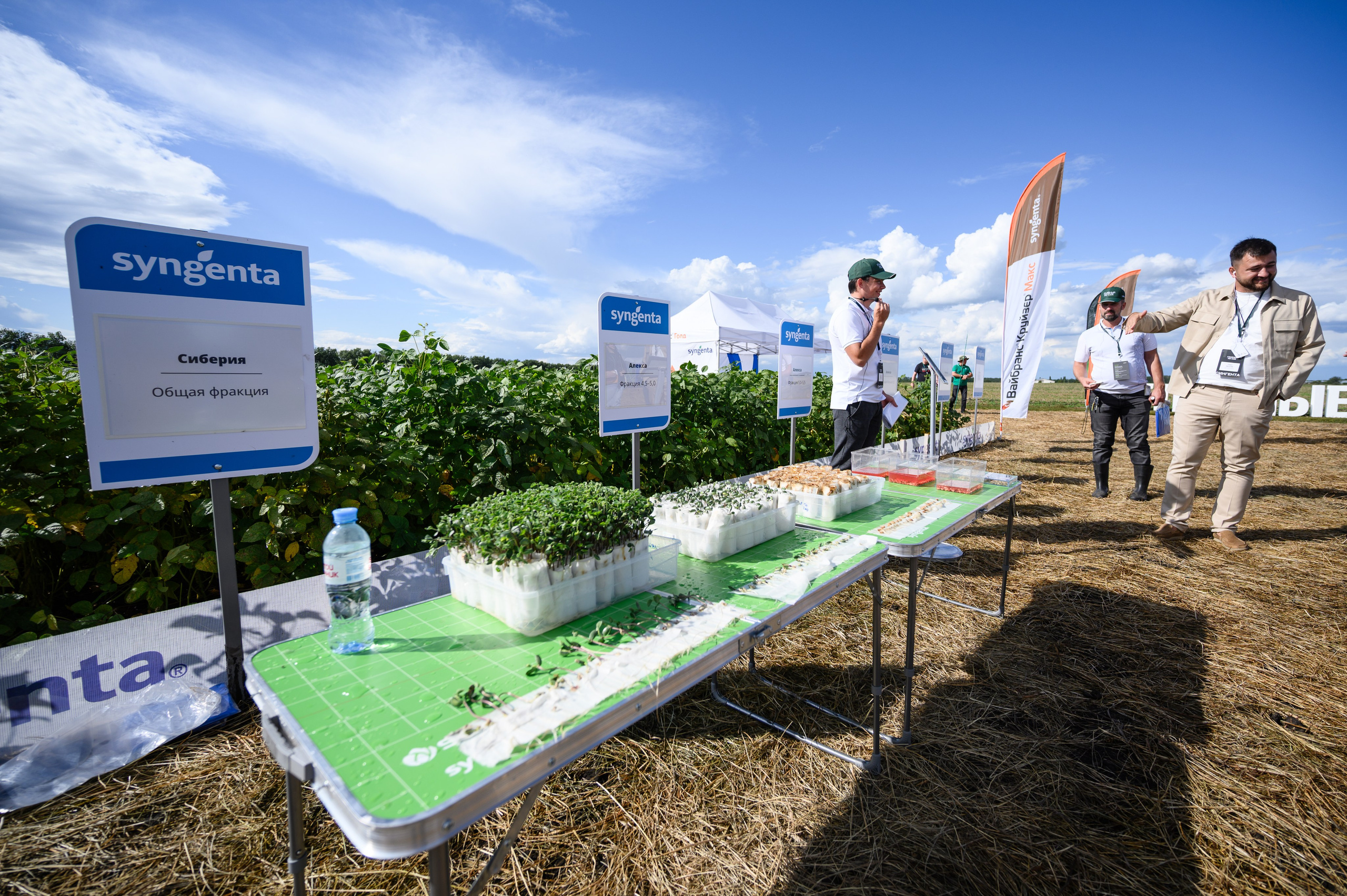 Проекты. Профессиональный фотограф Вячеслав Плацында | Липецк |