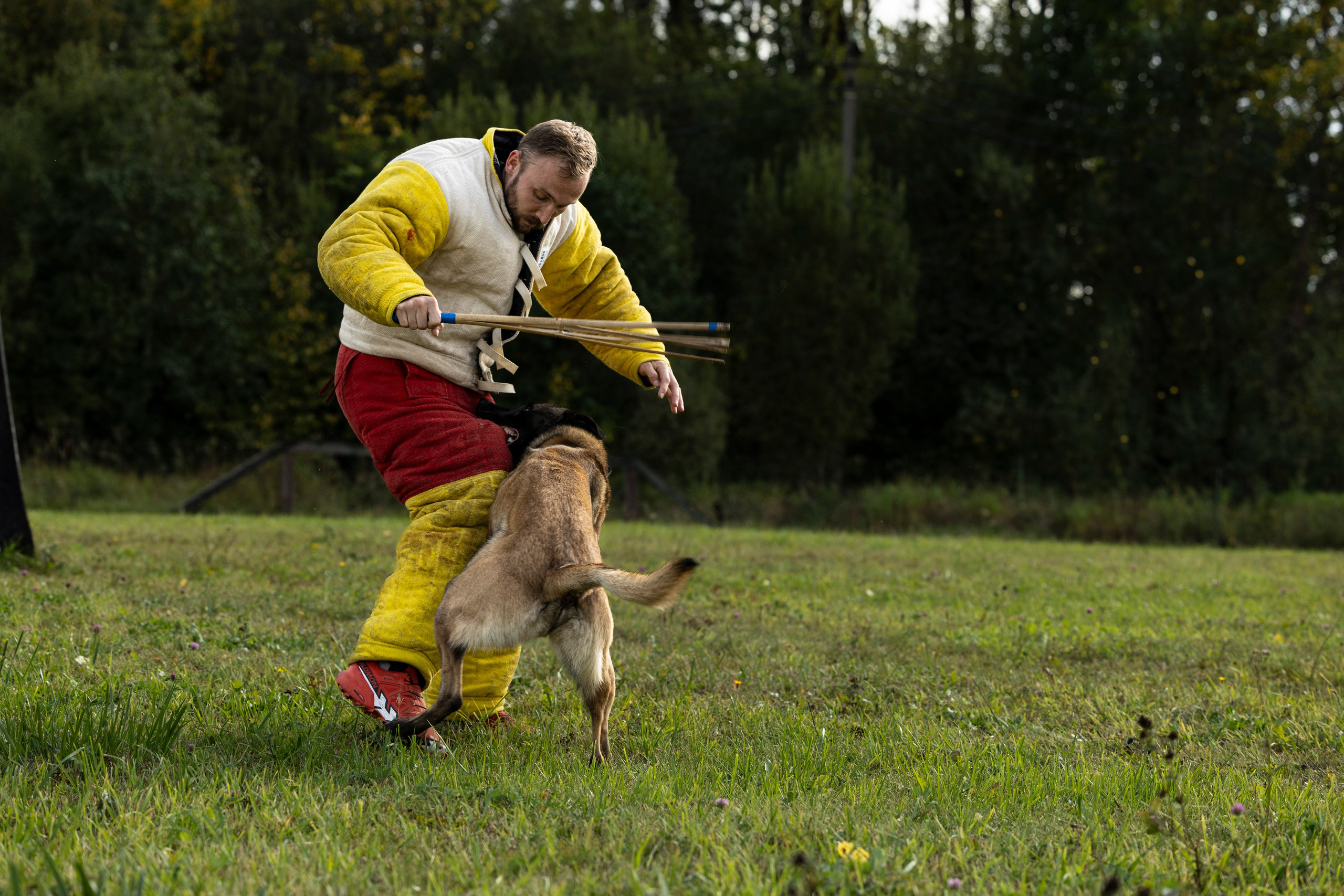 Испытания по Мондьорингу г. Пушкин. Фотограф-анималист Анна Маринич