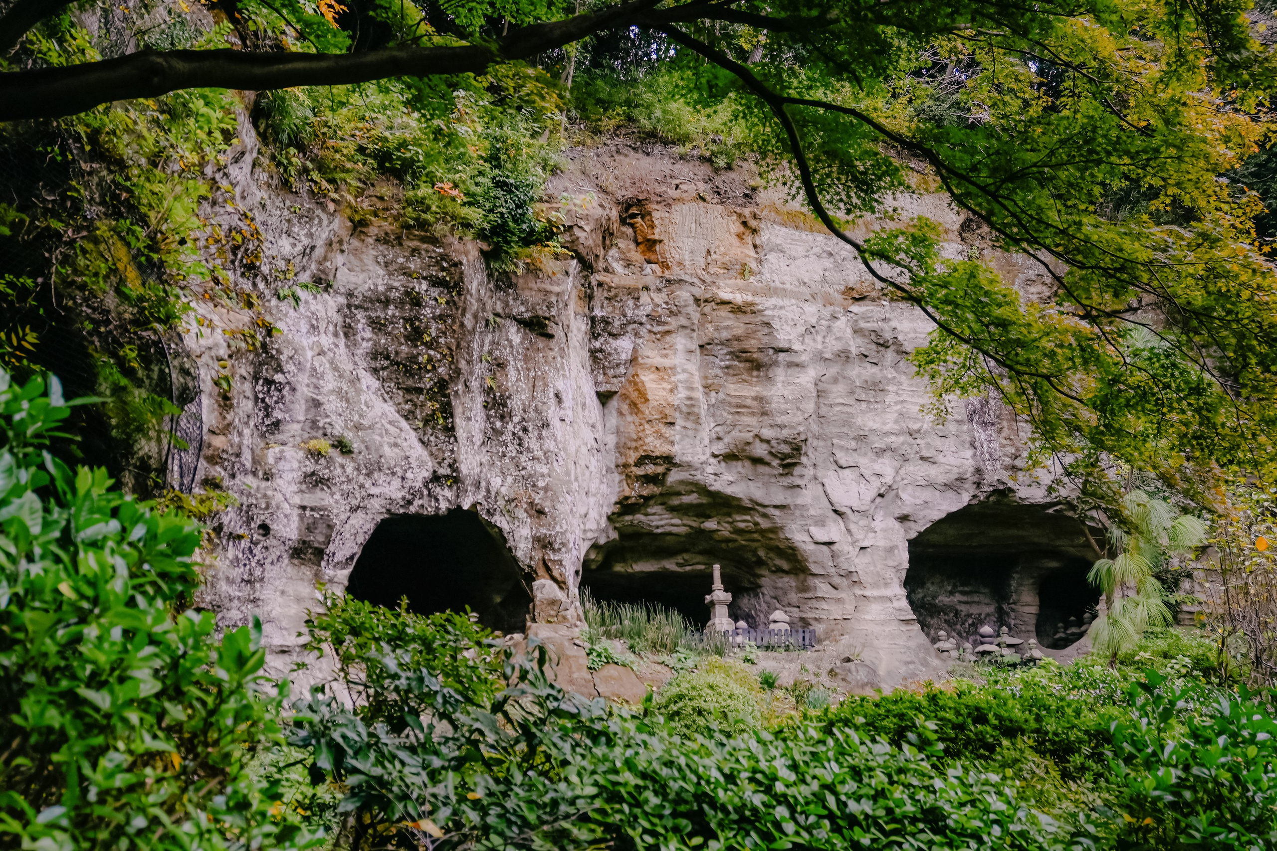 Japan village. Iraogo