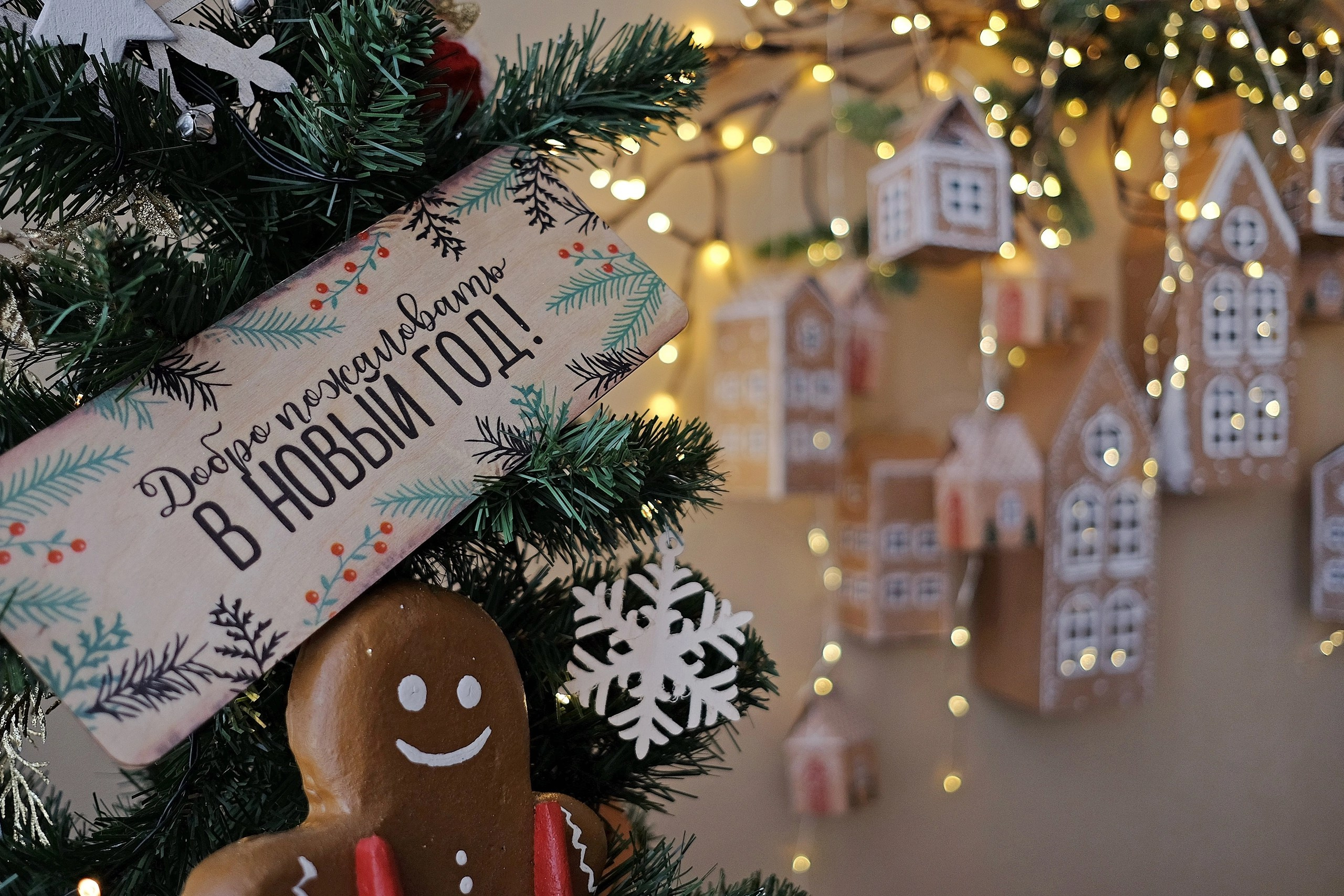 Bonjour Сказка. Лидия Фотограф Воронеж