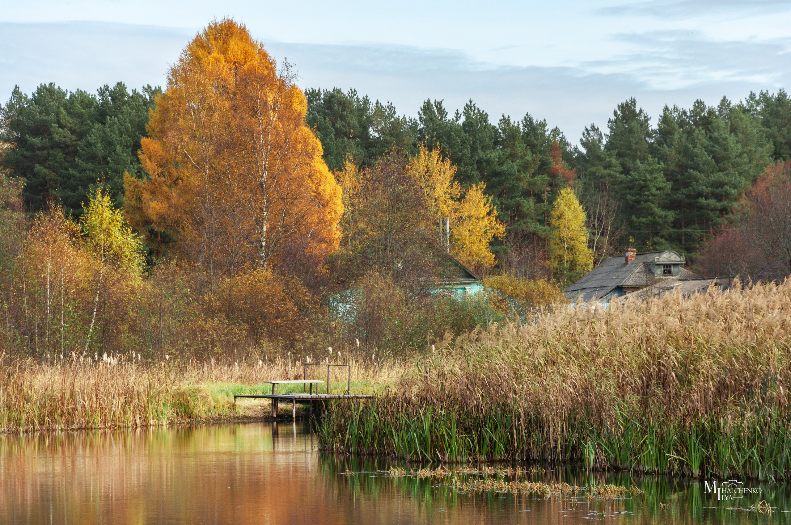 Пейзажи и архитектура. Портретная и репортажная съёмка
