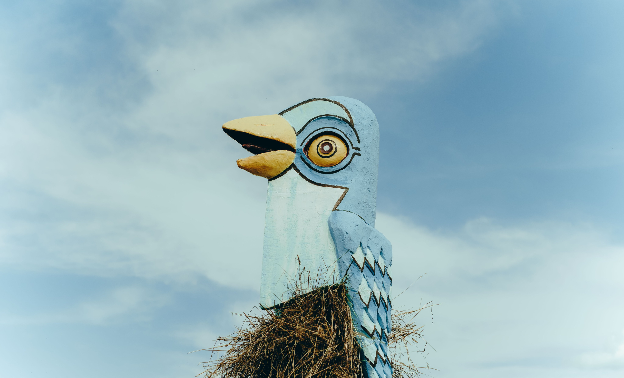 Бессонница 2025. Фотограф Аннё| Москва