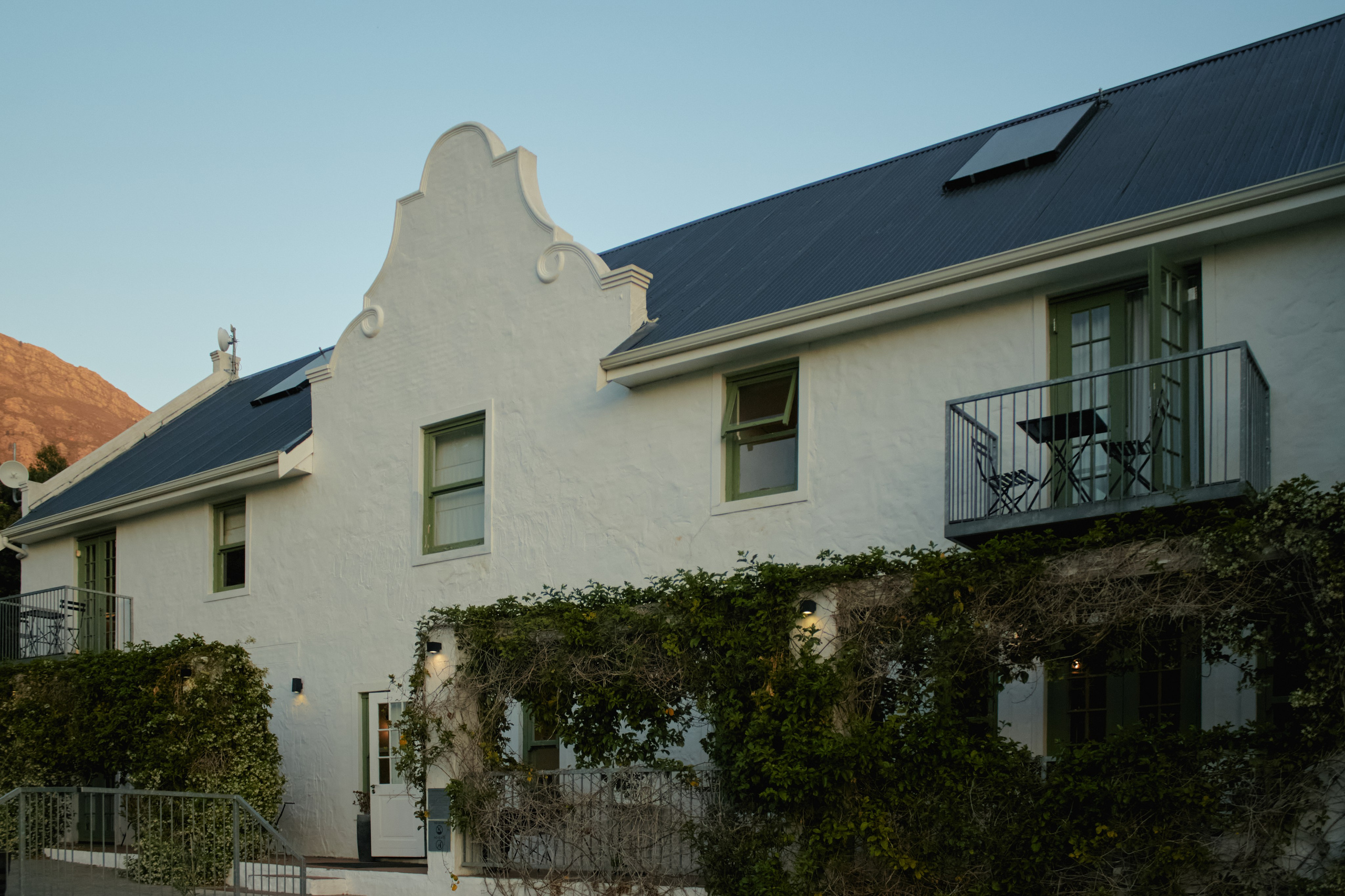 ЮАР. Профессиональный Фотограф во Владимире, в Москве и в Суздале — Полина Романычева