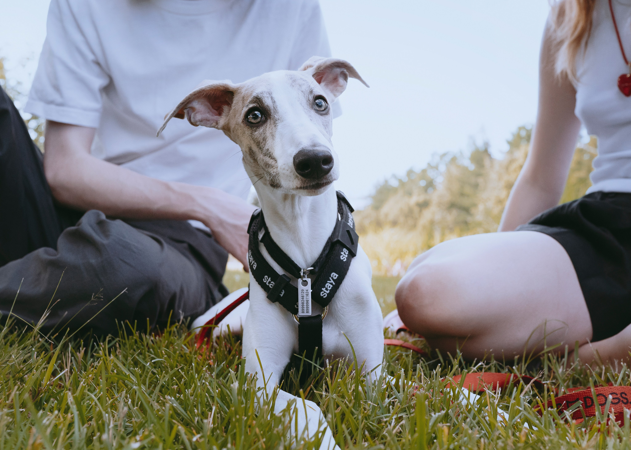 Ветка. Фотограф- анималист Александра Матвеева