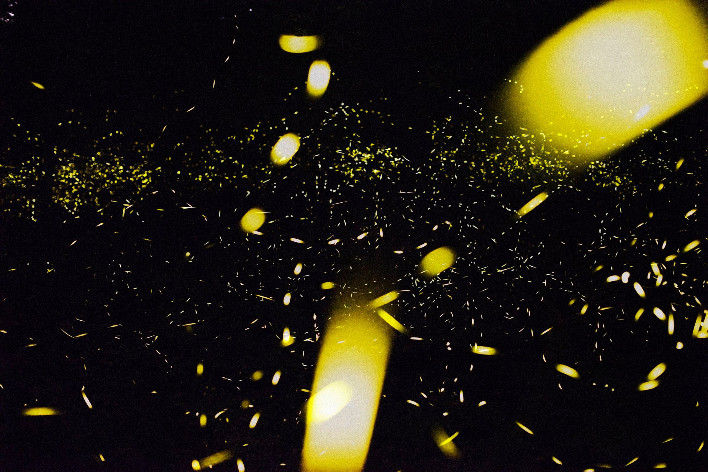 Понедельник 1. Вначале ничего не было…. …