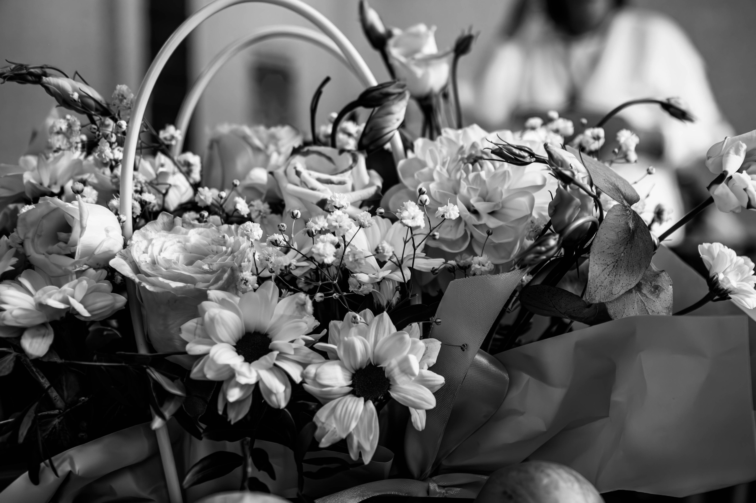 Контакты фотографа детских и спортивных мероприятий в Пушкино и Московской области