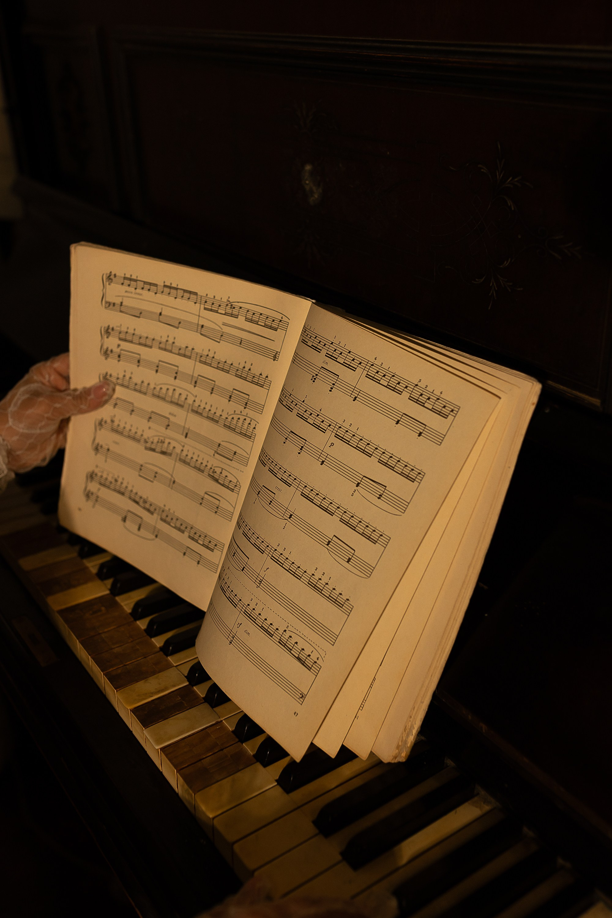 Свадебная фотосессия в фотостудии Птичка. Свадебный и семейный фотограф Виолетта Сидельникова. Краснодар, Россия, Беларусь, Европа