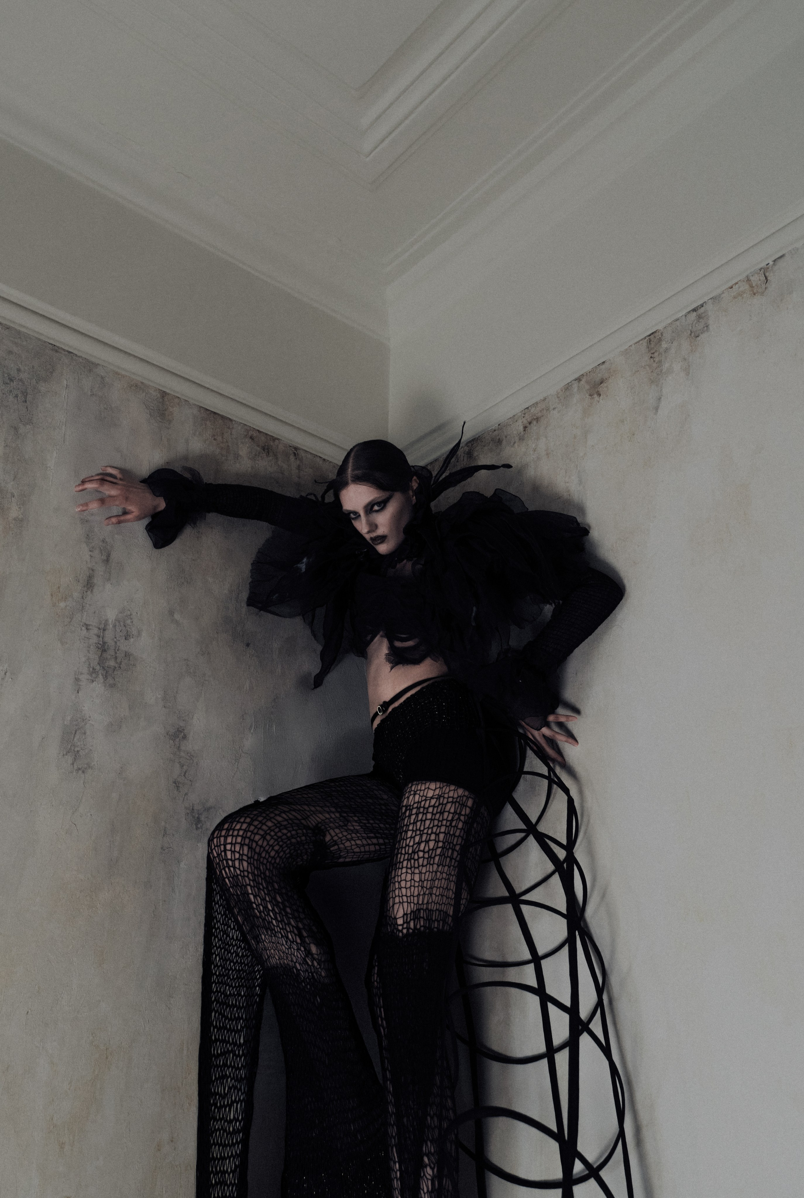 Паук. Фотограф Anita Mivchas