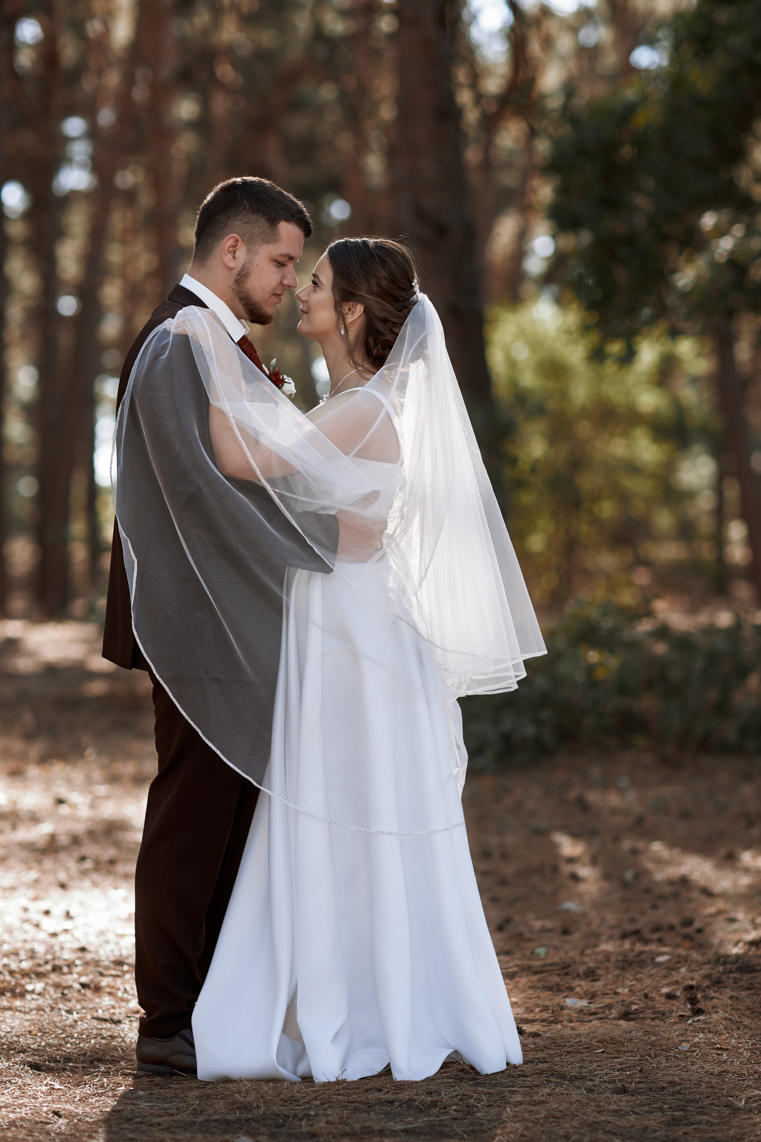 Жених и невеста обнимаются в сосновом лесу