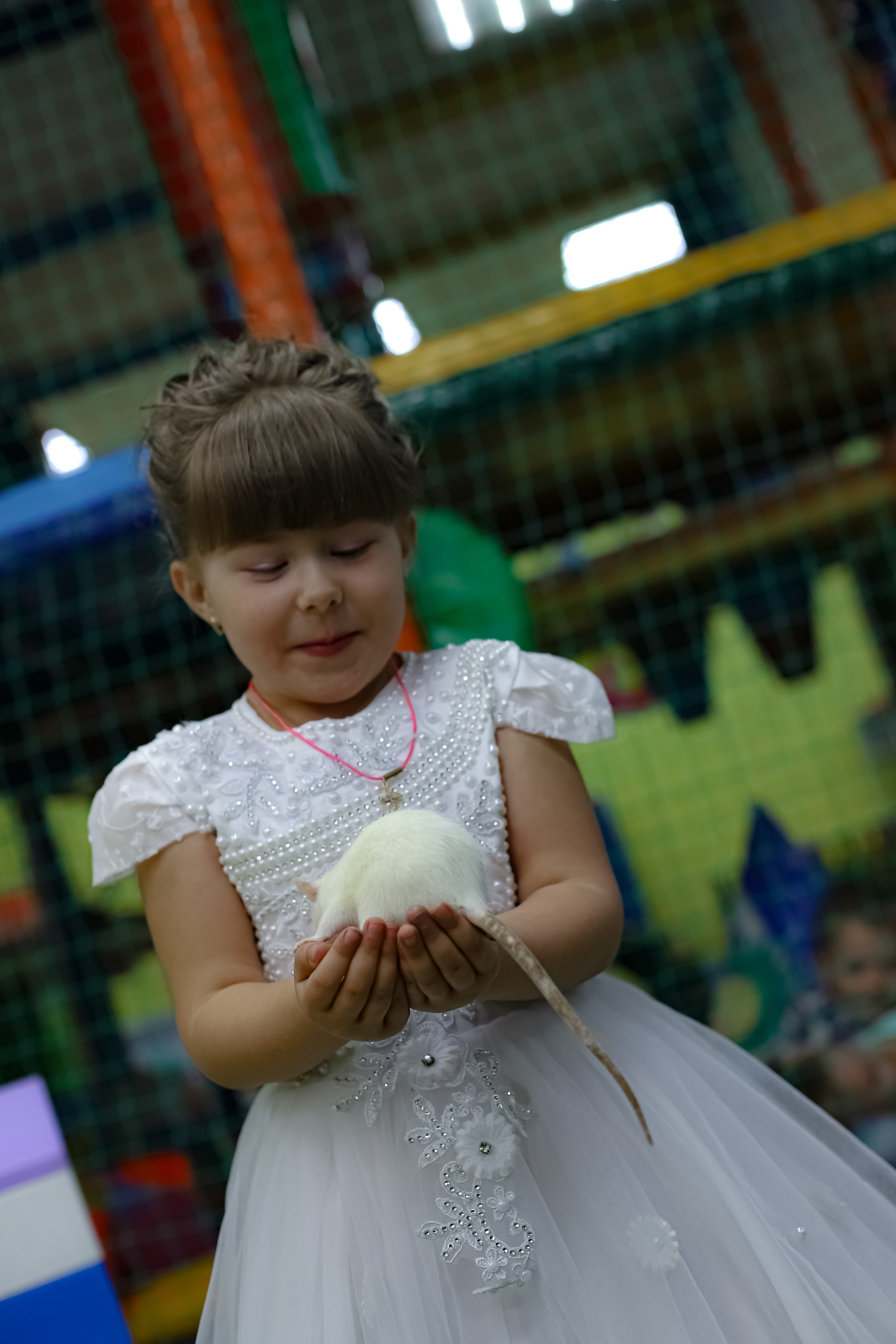 POLINA 5 YEARS. Photokarish