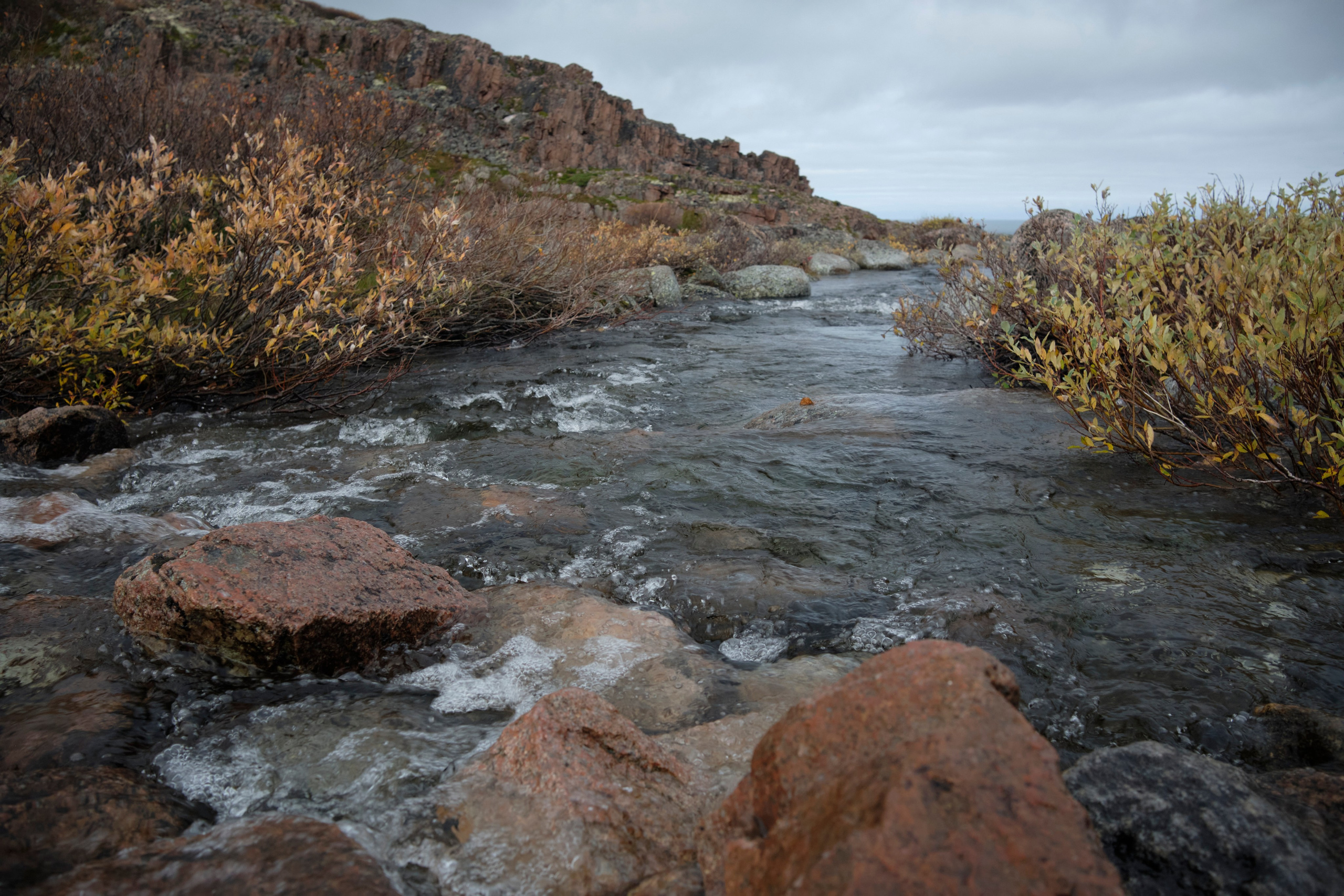 Путешествие в Териберку. Елена Павленко. Фотограф. Москва
