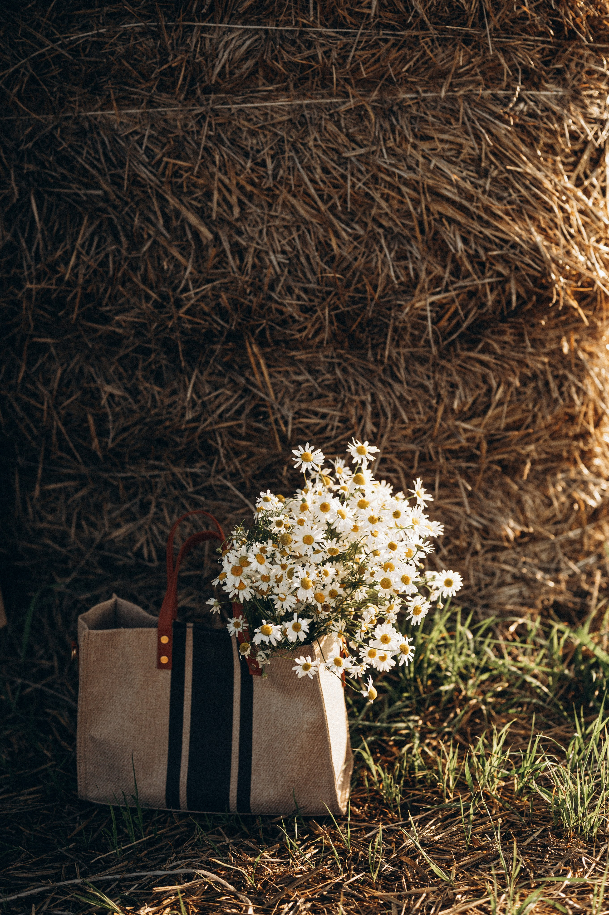 Август. Свадебный и семейный фотограф в Пензе