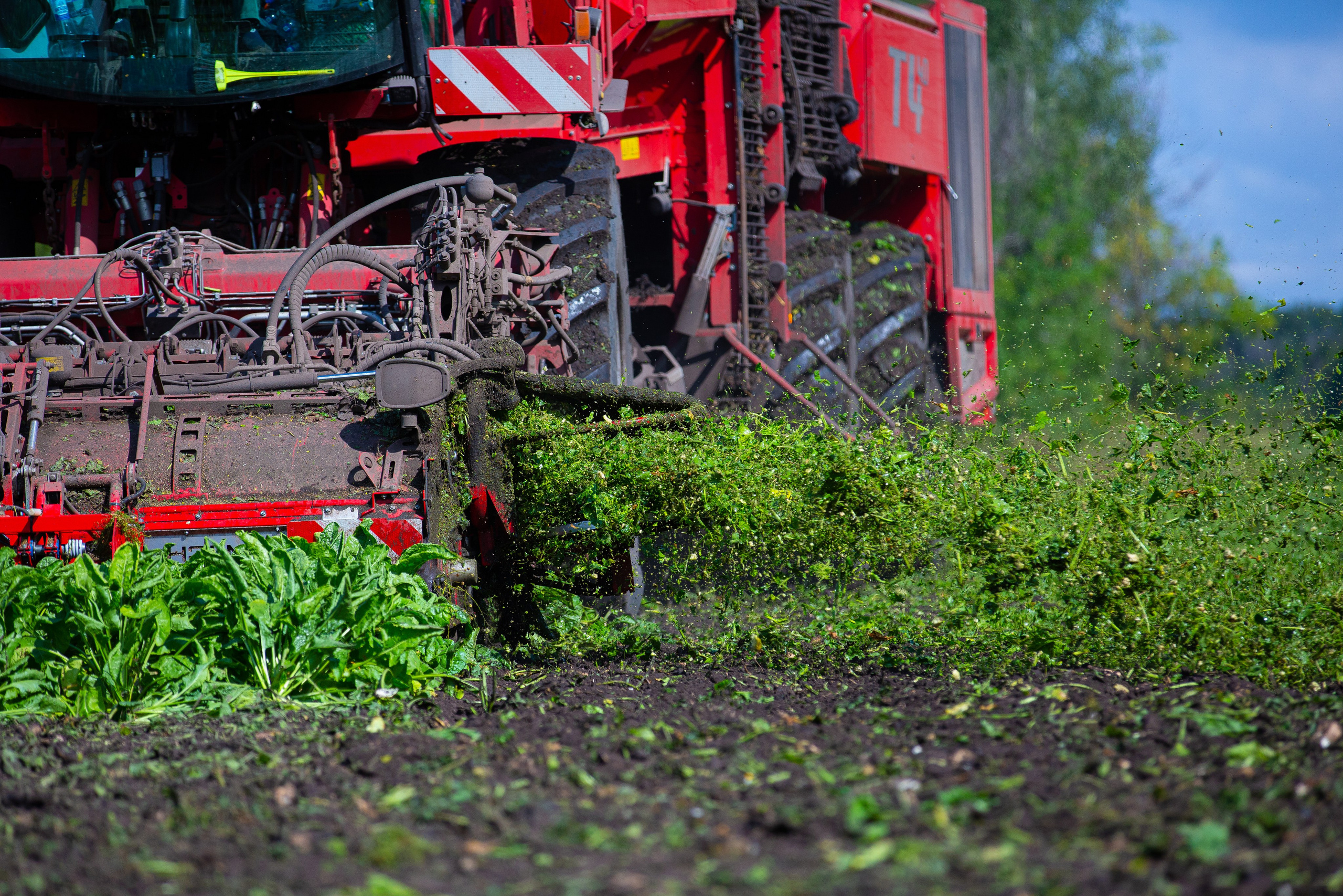 Комбайн на уборке сахарной свеклы