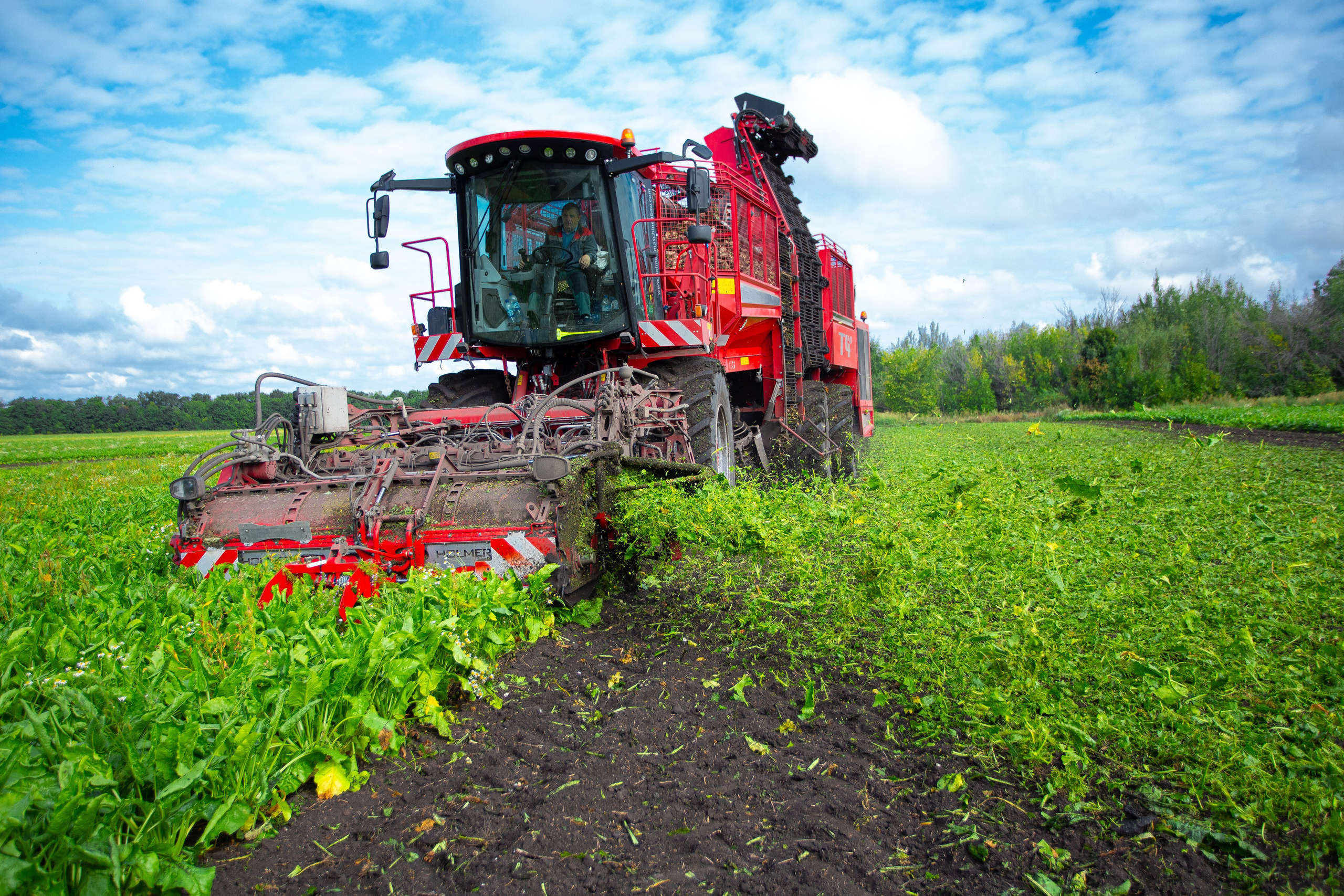 Уборка сахарной свеклы