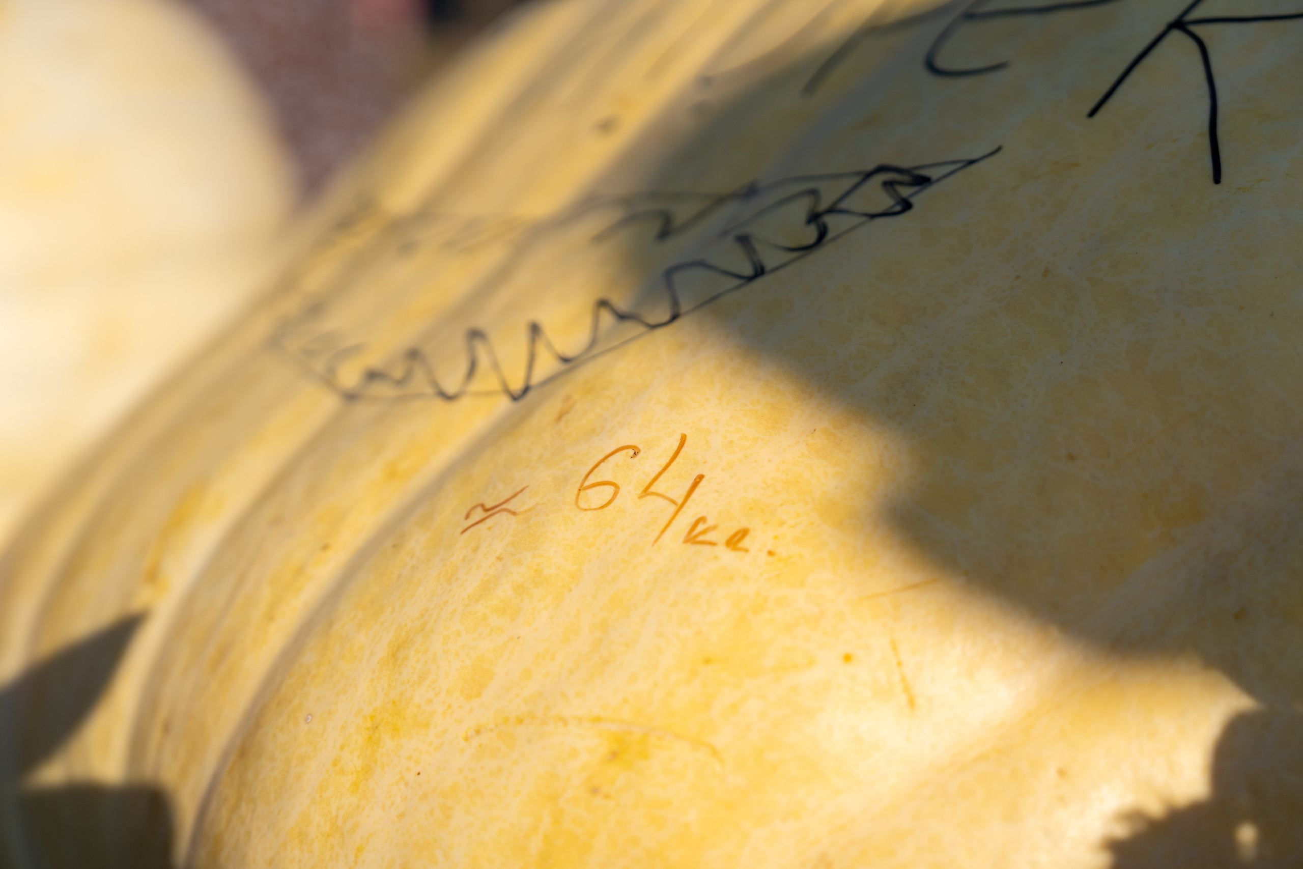 Ярмарка. Фотограф Наталья Сорока Ижевск