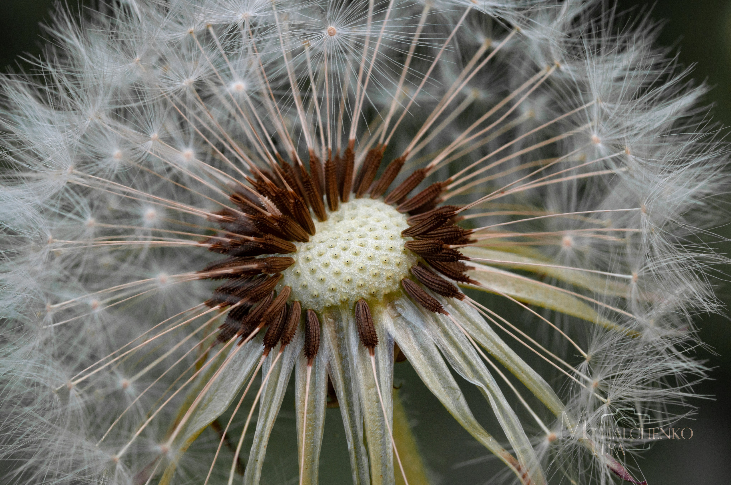 Пейзажи и архитектура. Портретная и репортажная съёмка