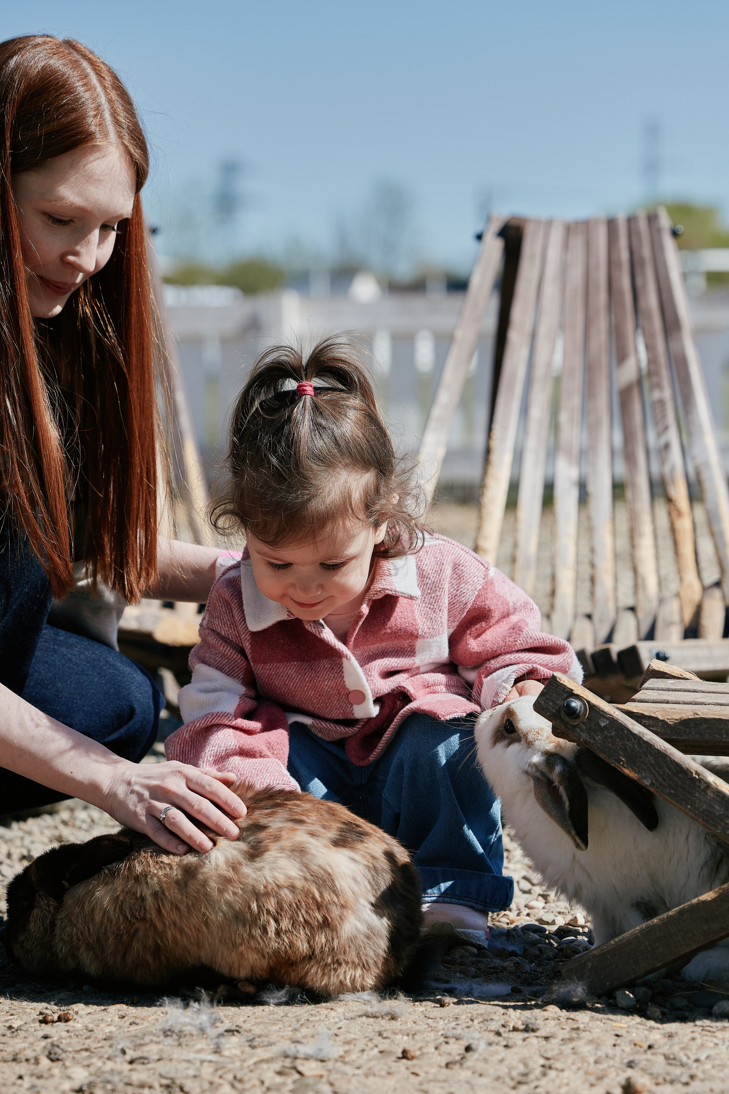 PRIVATE Weekend на Ферме Альпак 19.04. Свадебный репортажный фотограф краснодар максим дремов дрёмов фотосессия студия цена