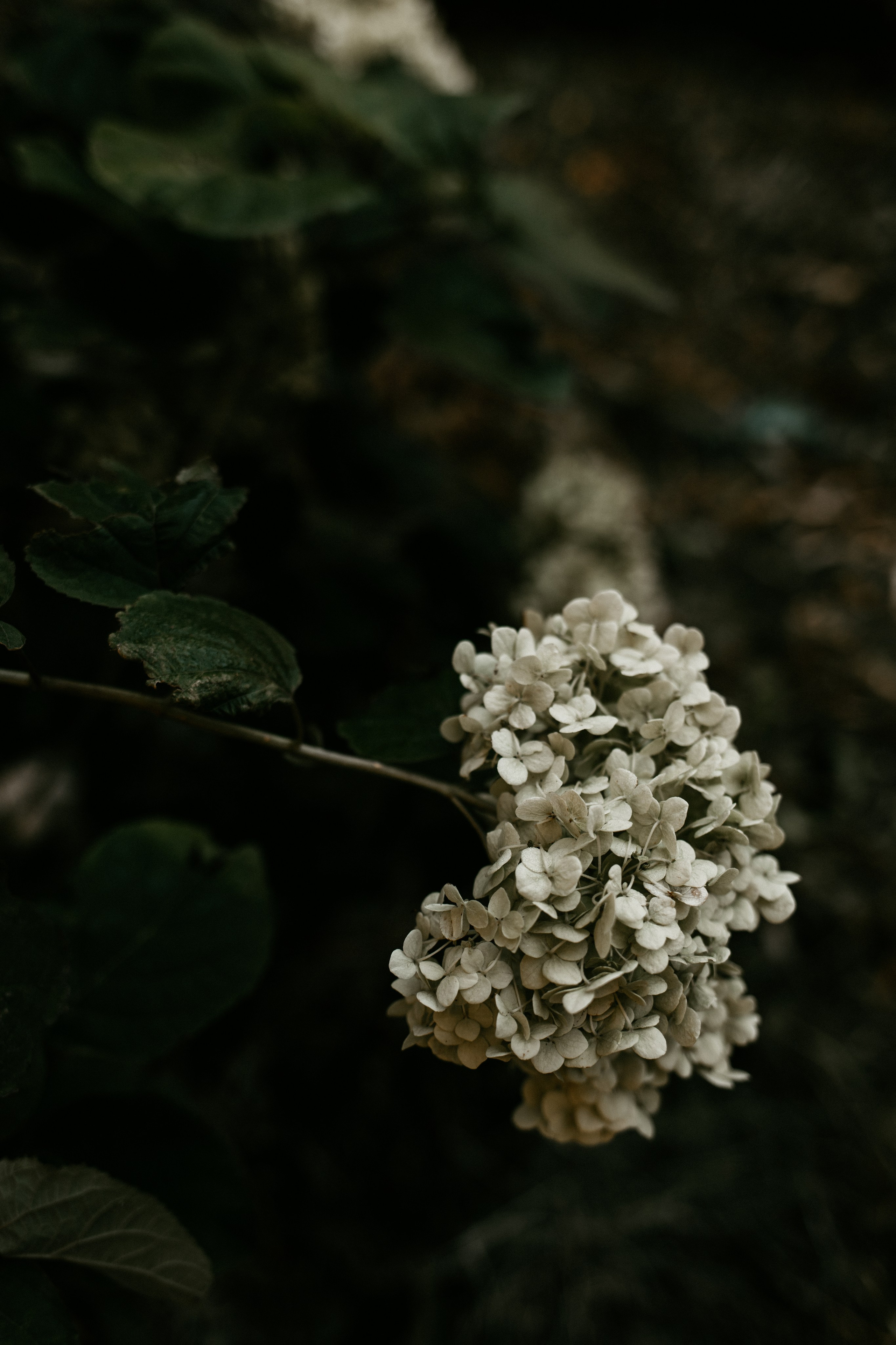 Фотографы Калининграда. Семейный детский фотограф в Калининграде Анна Каратай