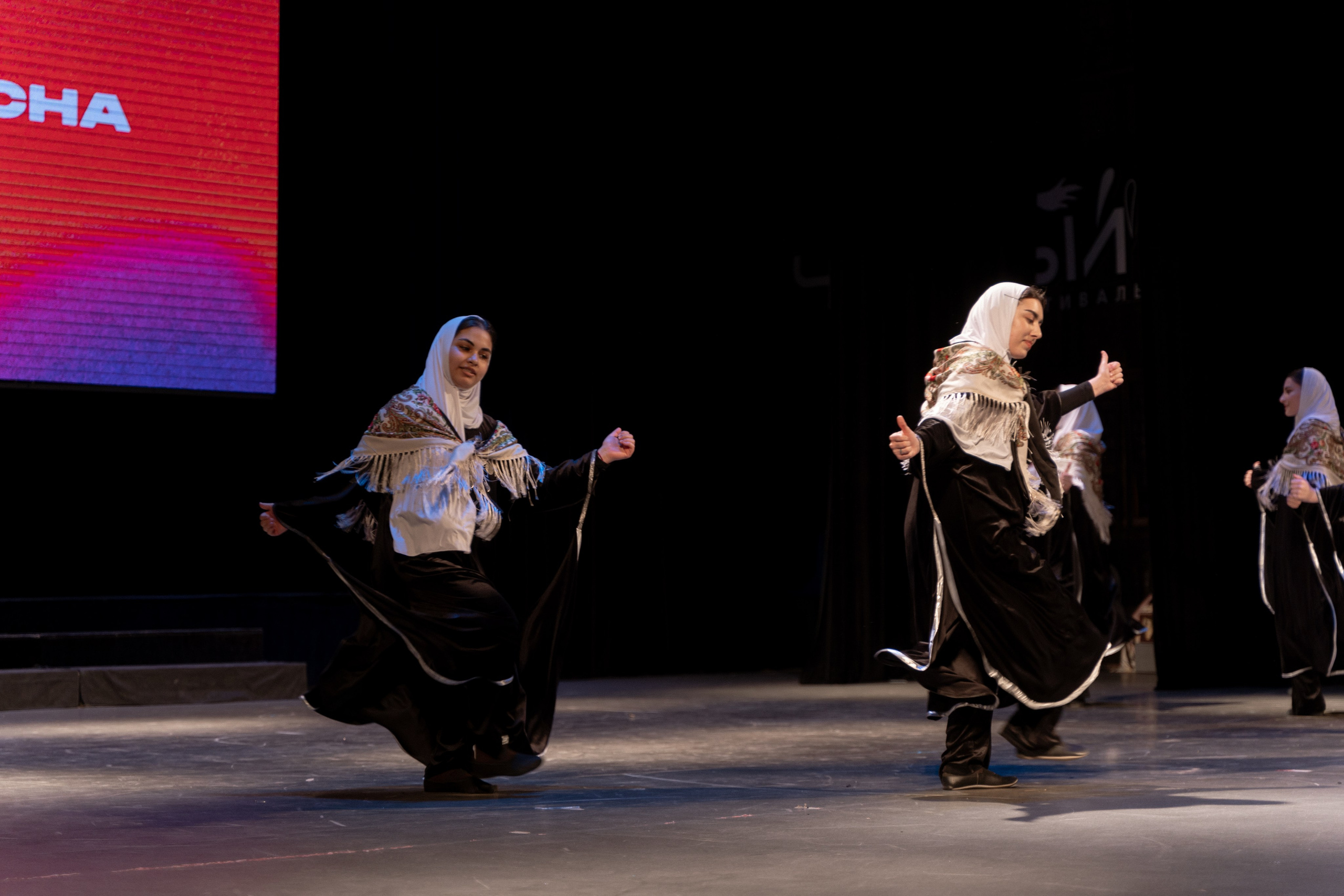 Фестиваль Студенческая весна 2025. Фотограф Надежда Погребняк | Рязань | Москва