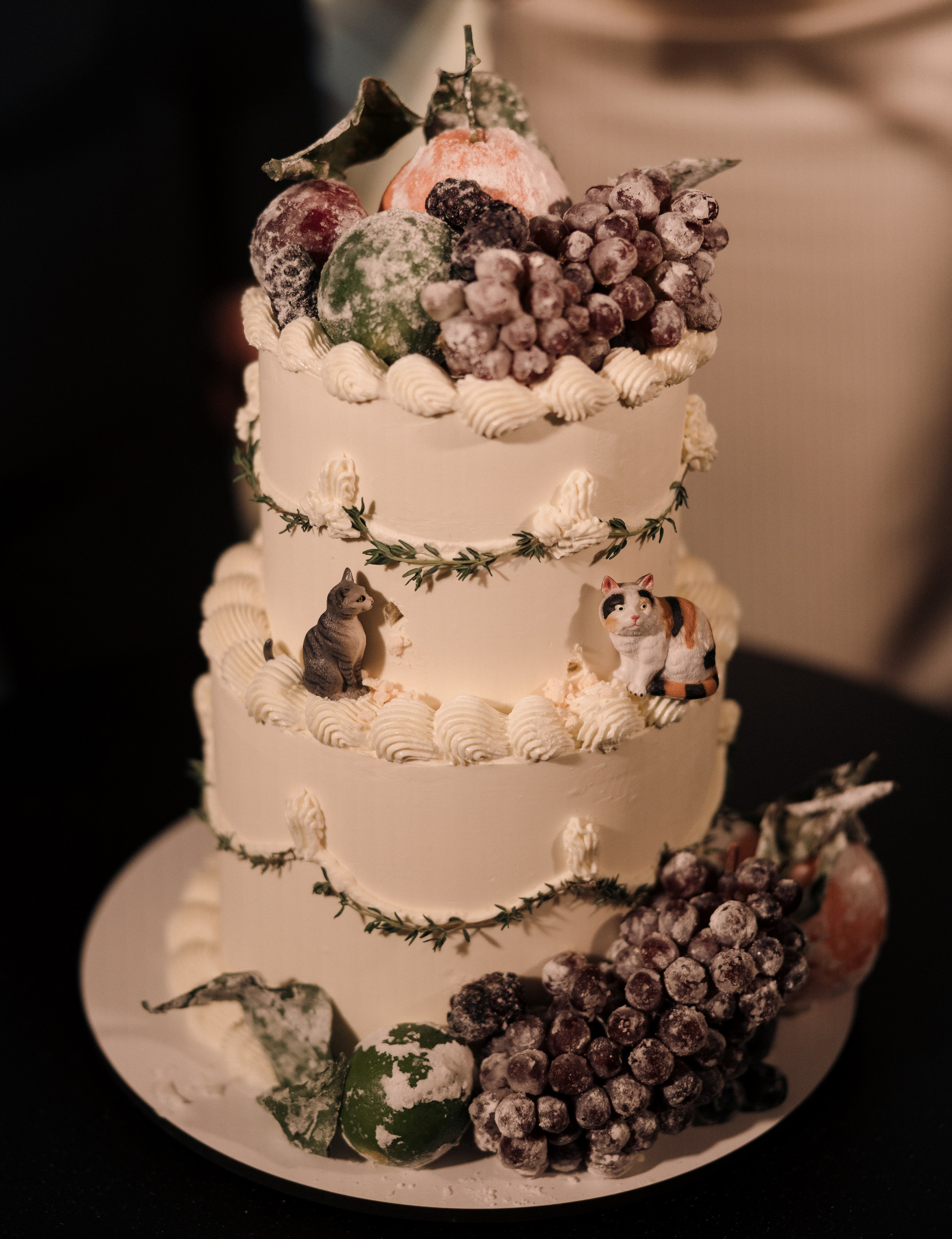 Все будет fresh. Фотограф Санкт-Петербург