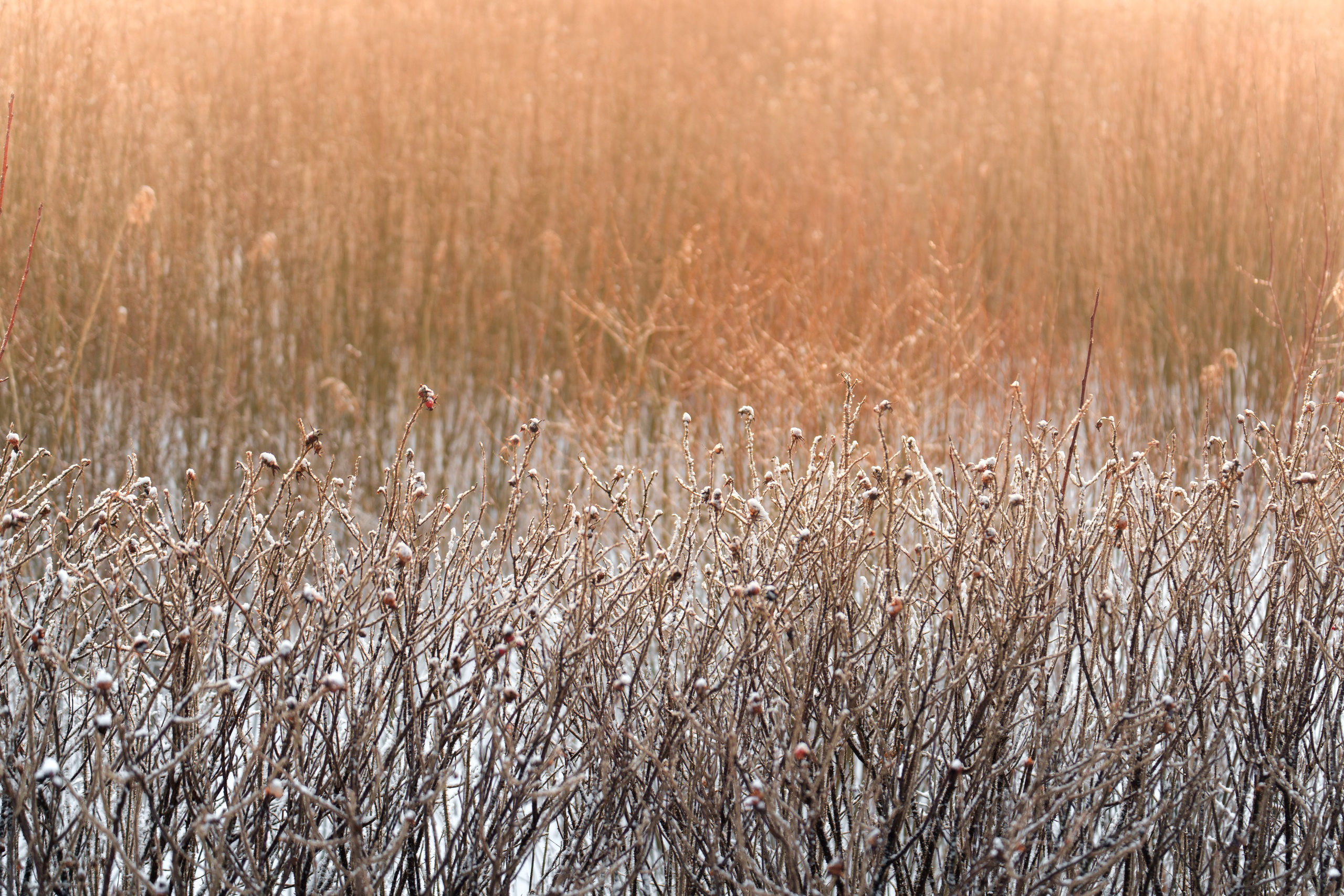 Ладожские шхеры