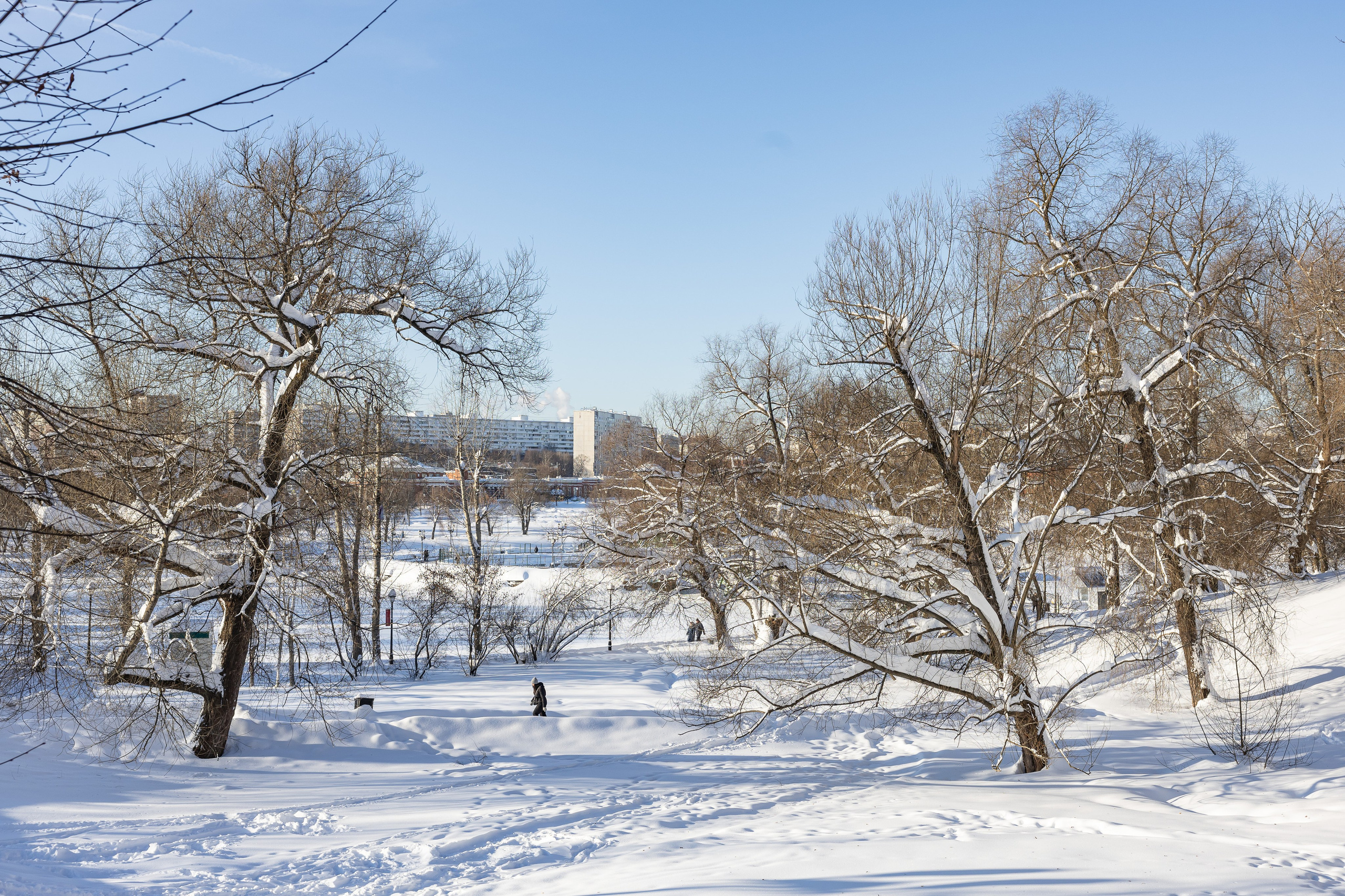 Природа. Фотограф Владимир Охрименко