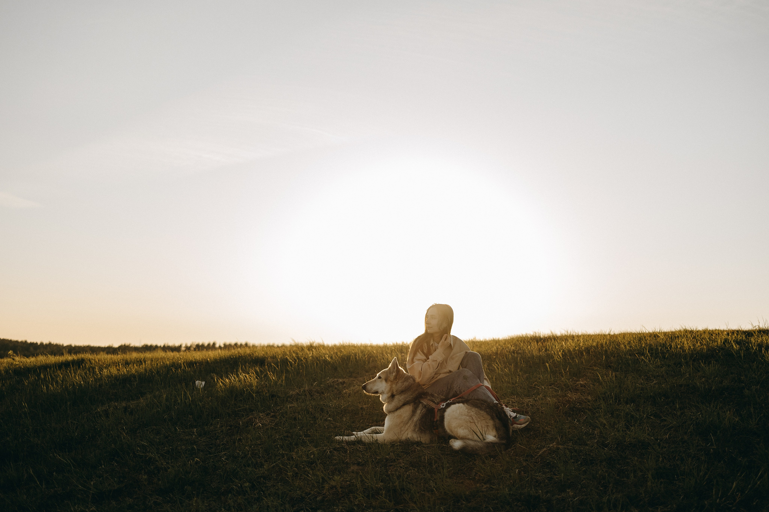 Саша и Зельда. Фотограф — Анималист | Санкт-Петербург