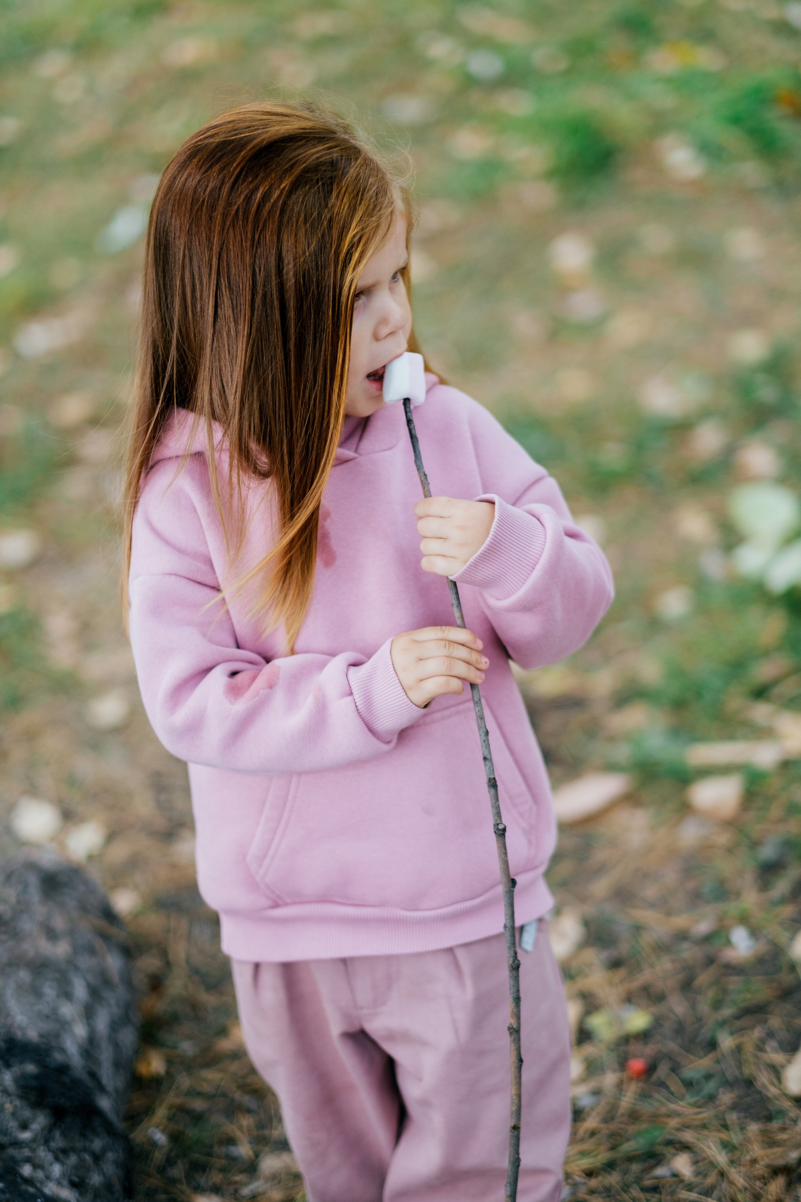 Осенний пикник. Свадебный Видеограф Фотограф в Сочи