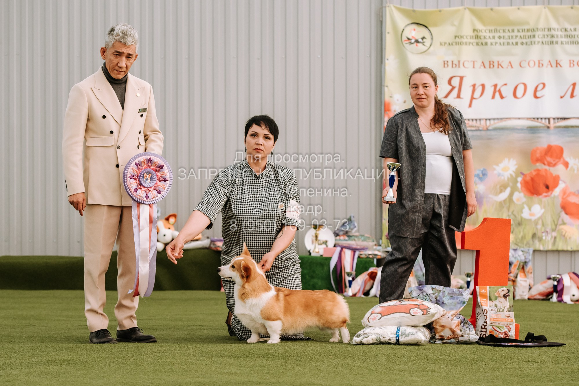 Выставка собак Красноярск 2.06. Фотограф Диана Оленина Красноярск / Братск
