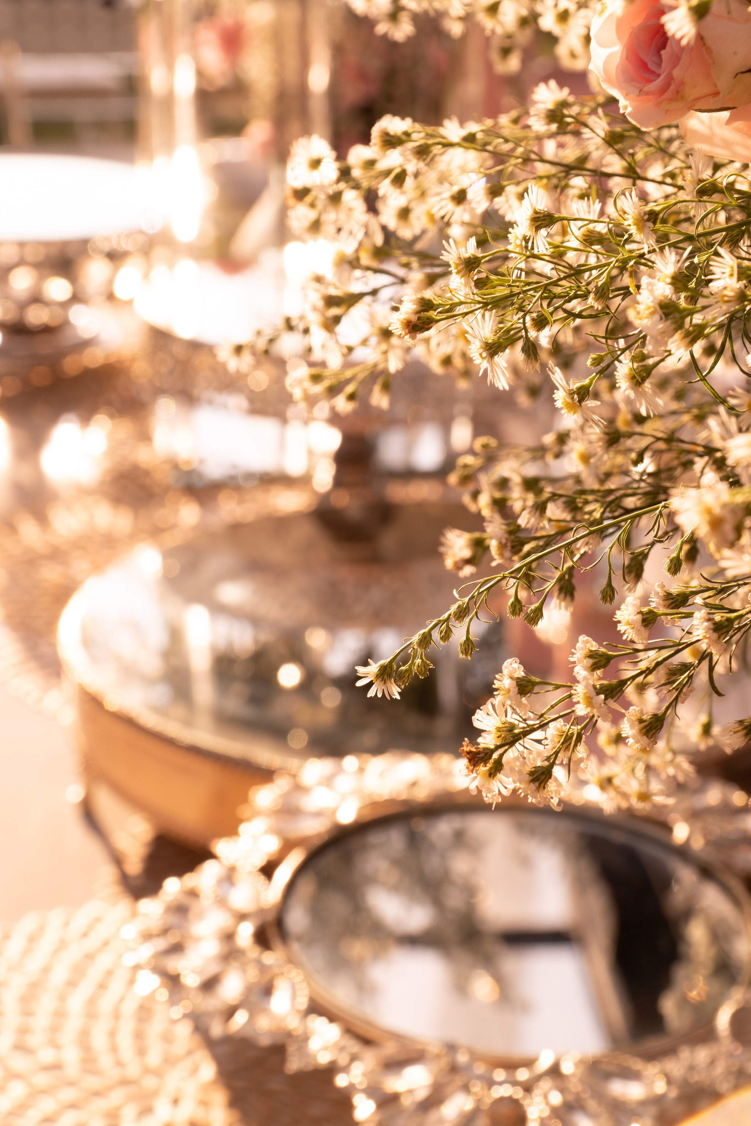 Carola & Gerson. Wedding Photographer in Barcelona and Medellin