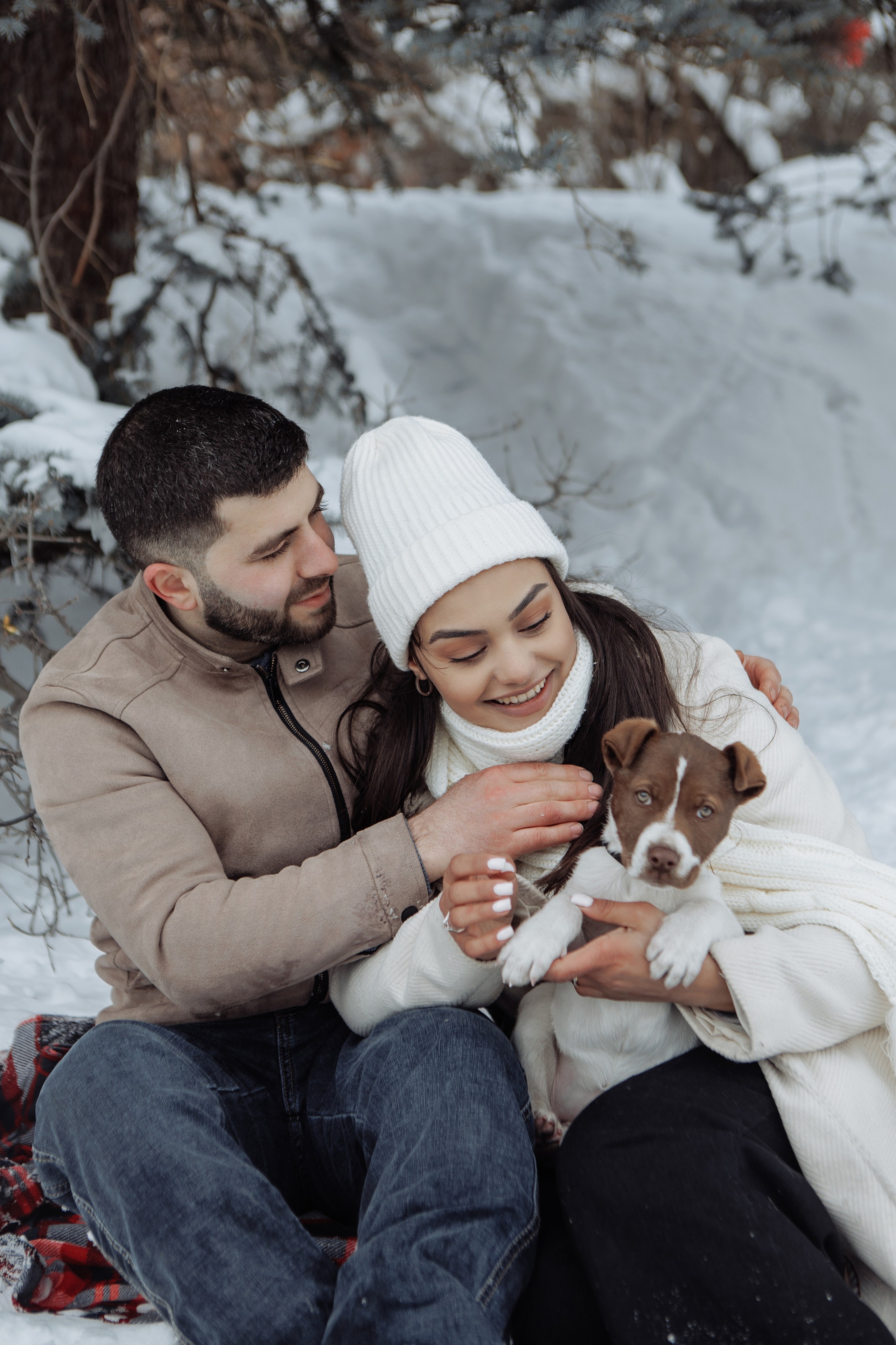 Снежинки. Գլխավոր