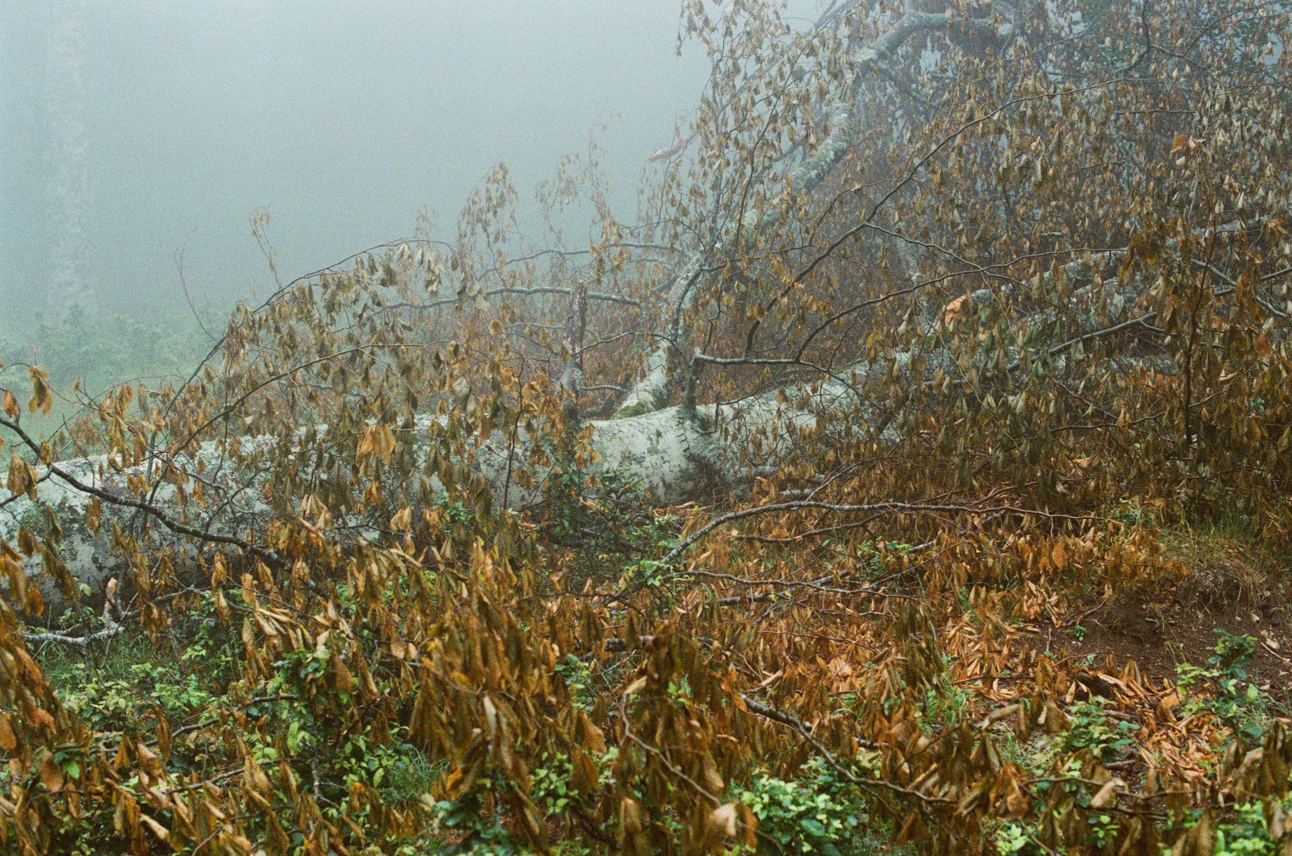 Dig it // ukraine, crimea III. EVER EXPOSED