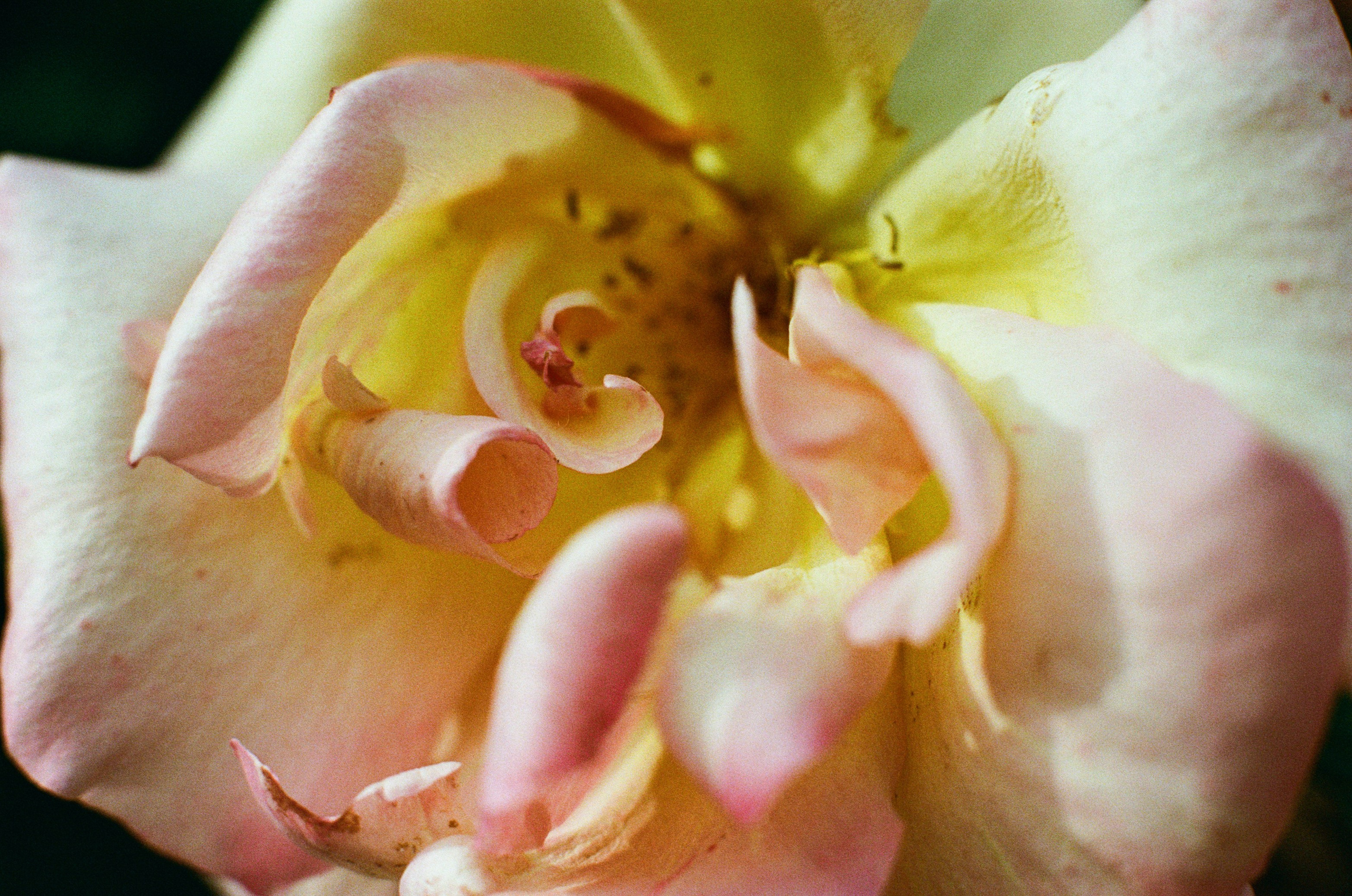 Point of no reply // ukraine, crimea VI. EVER EXPOSED