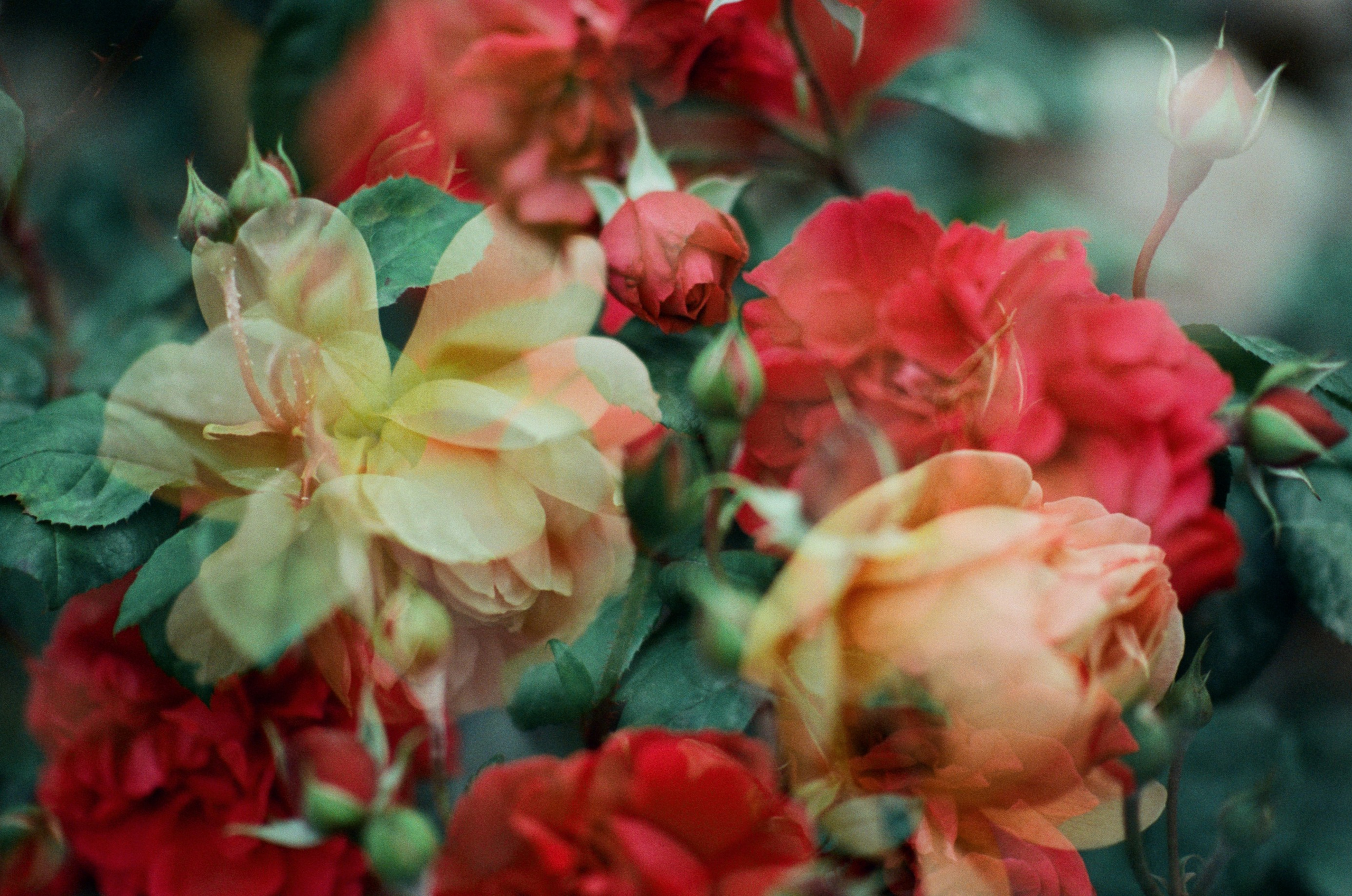 Pain shopping // ukraine, crimea V. EVER EXPOSED