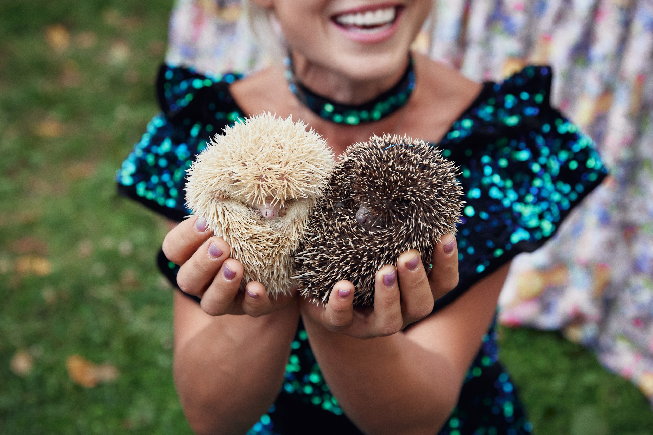 Репортажная съёмка. Главная