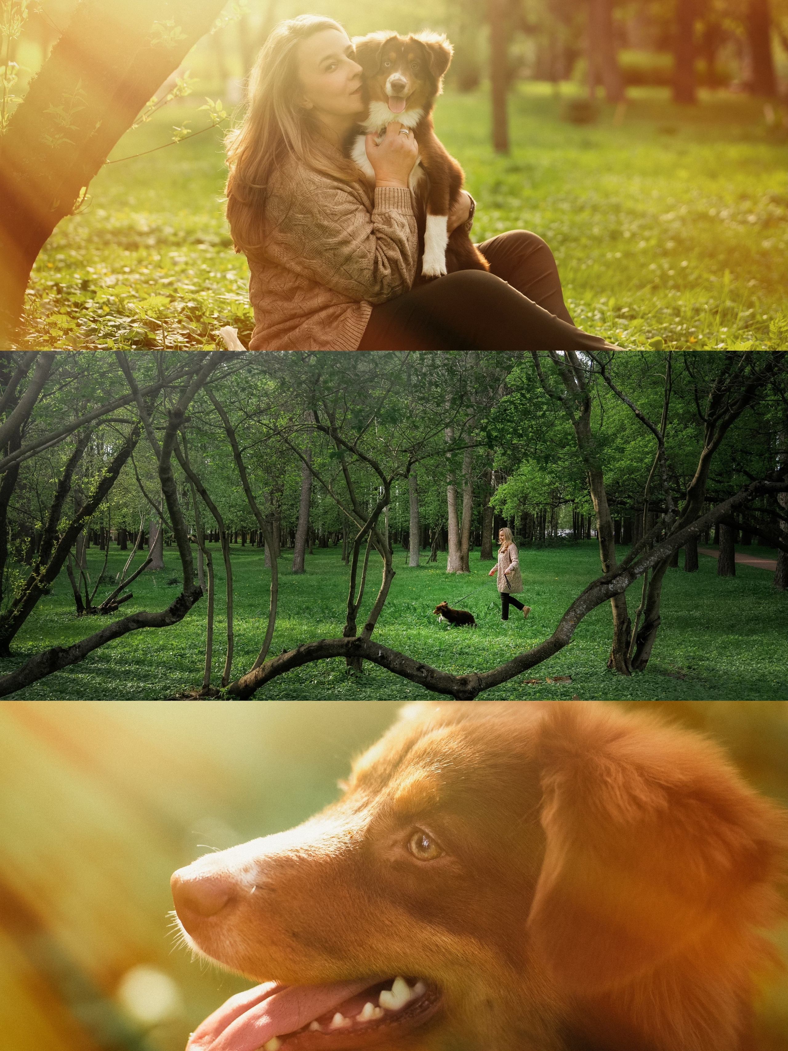 Мария и Брасс. Фотограф анималист в Москве и Санкт-Петербурге Свиридова Анна