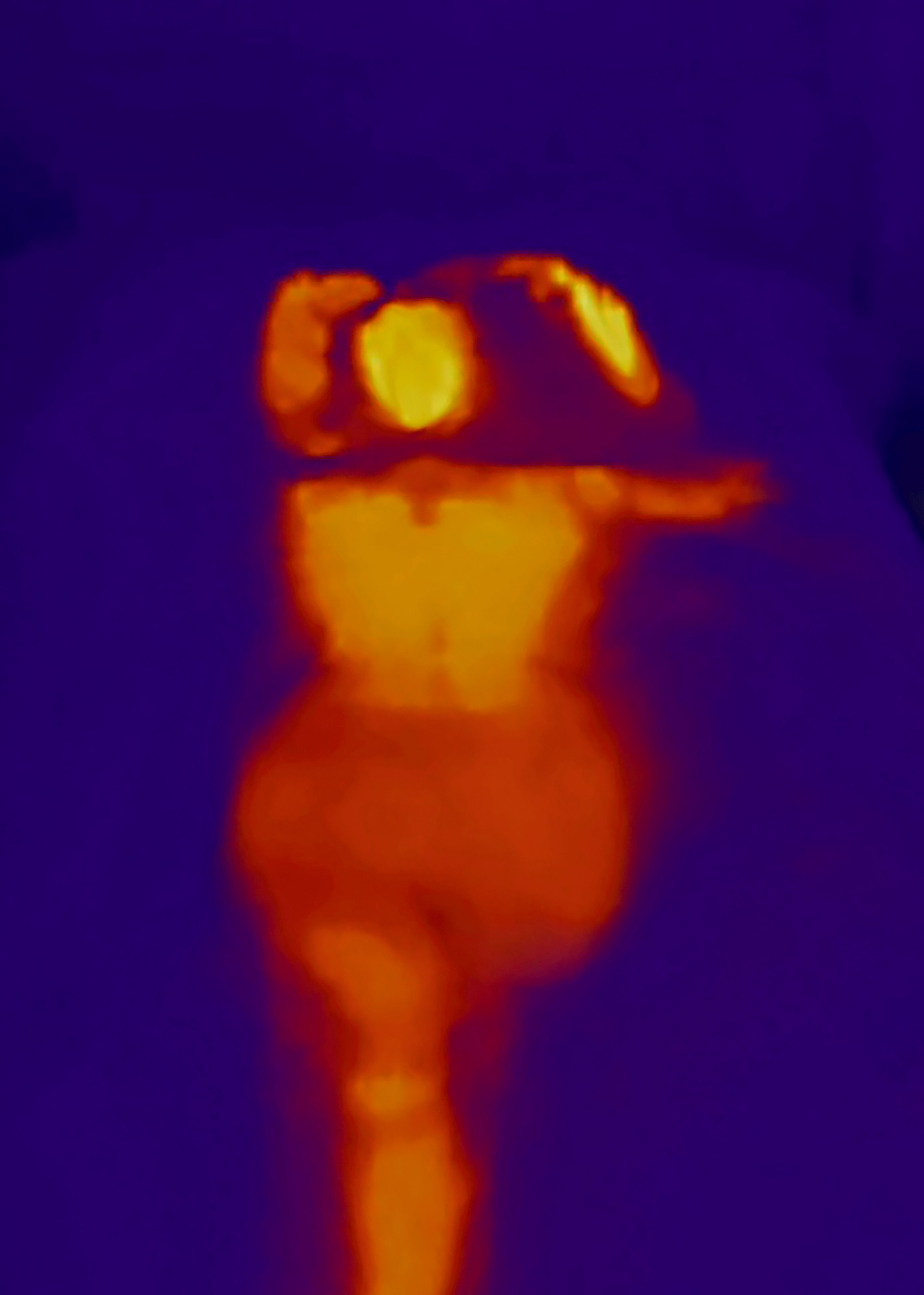 Если б я была удавом / If I were a boa constrictor. Visual artist Olga Burmistrova