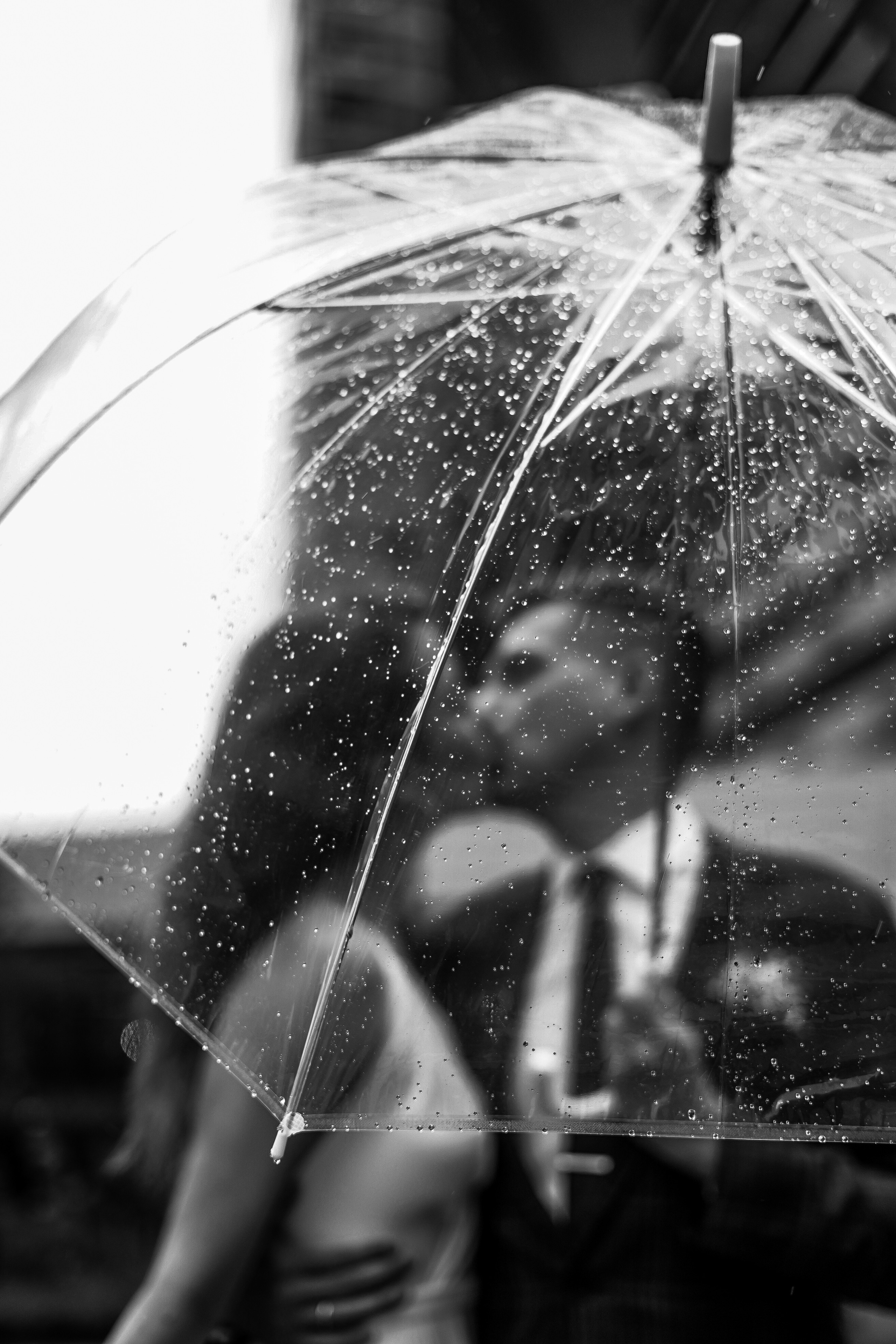 Максим & Анастасия. Свадебный фотограф Диана Грицай