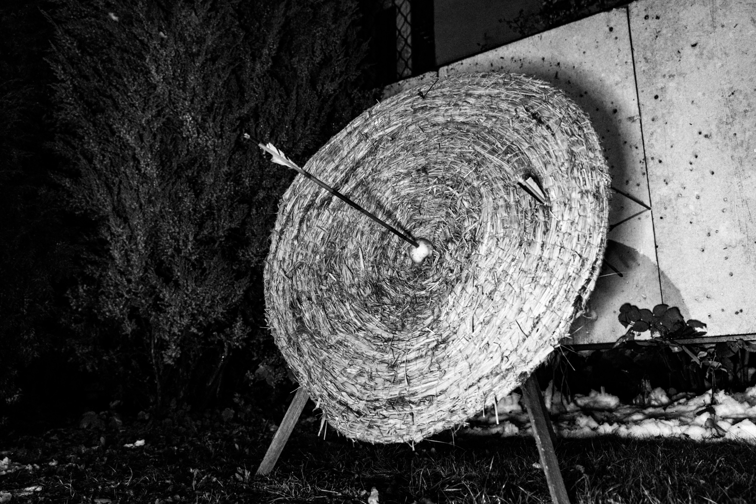 Корпоратив Helloween. Фотограф Новополоцк, Полоцк, Минск, РБ, Зимаков Егор