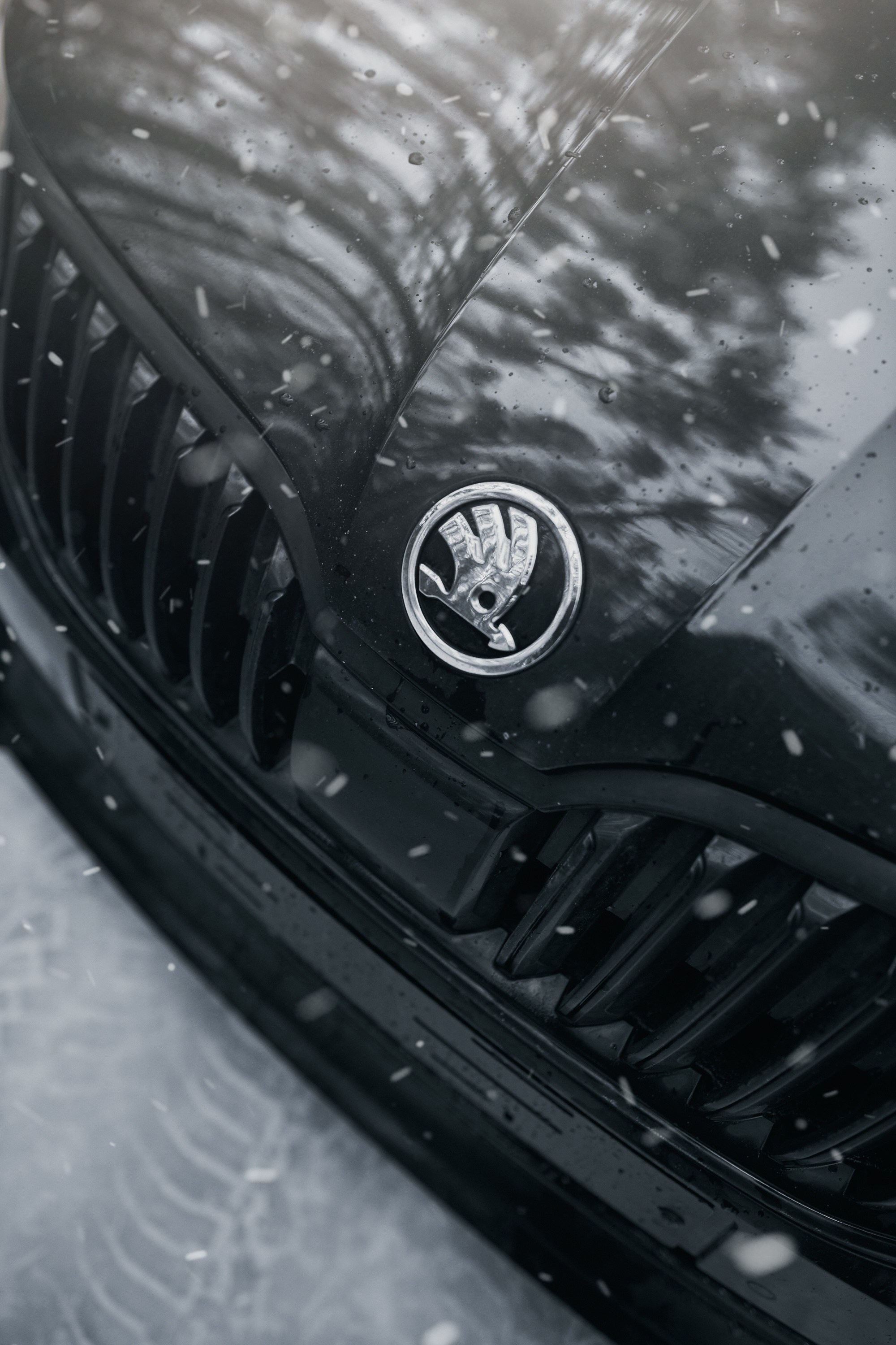 Skoda Octavia | @fuck_credit. DKARPOCHEVA PHOTOGRAPHY