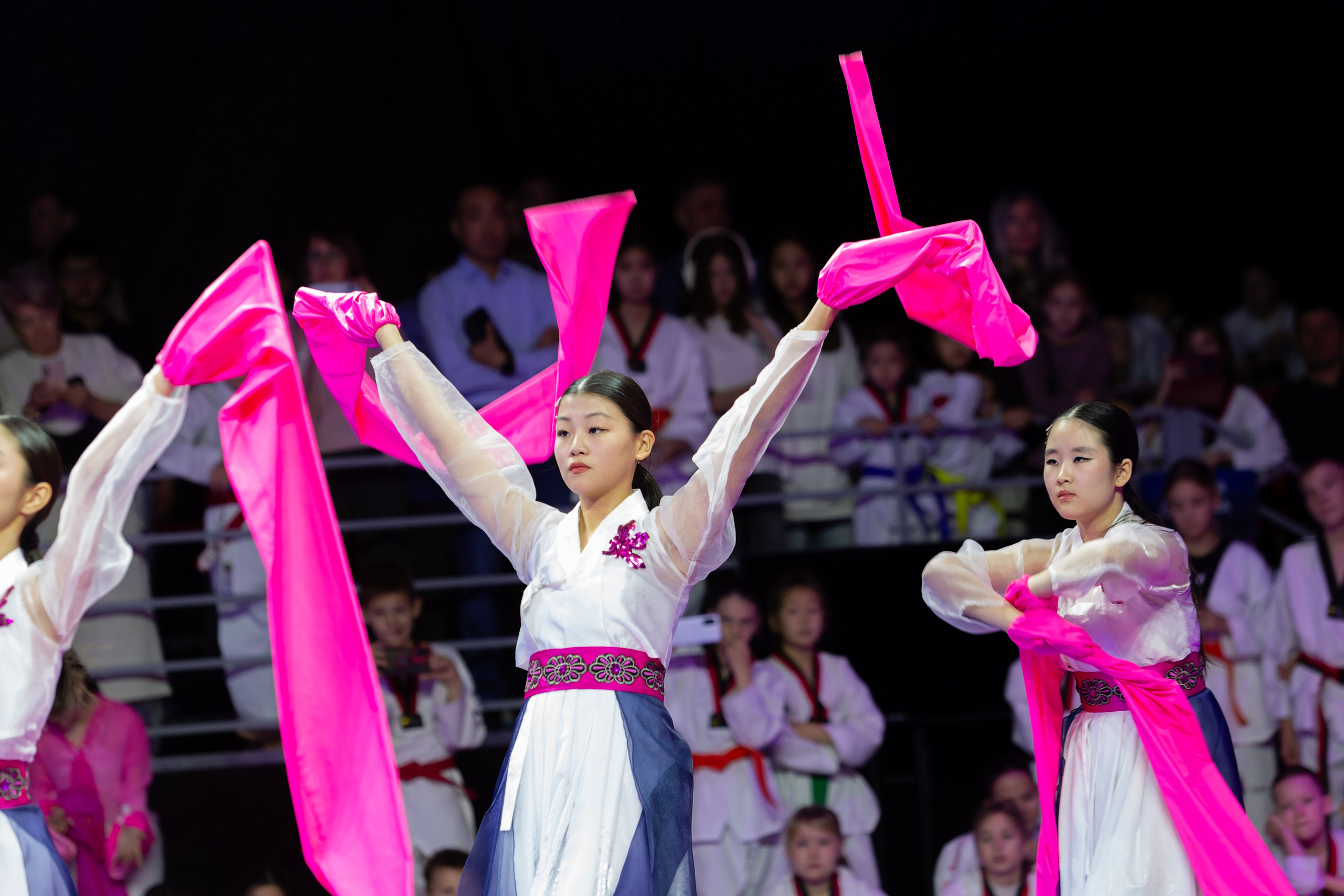 Дальневосточный фестиваль восточных единоборств. Кутузов Евгений Фотограф в Южно-Сахалинске